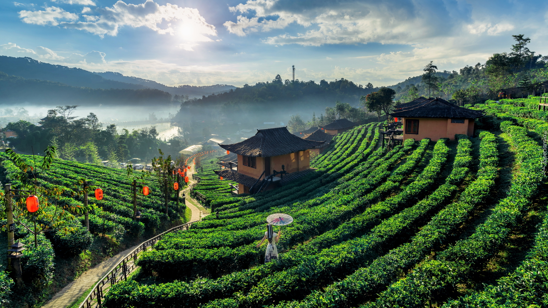 Plantacja, Herbaty, Ścieżka, Domy, Kobieta, Parasolka, Wioska, Ban Rak Thai, Prowincja Mae Hong Son, Tajlandia