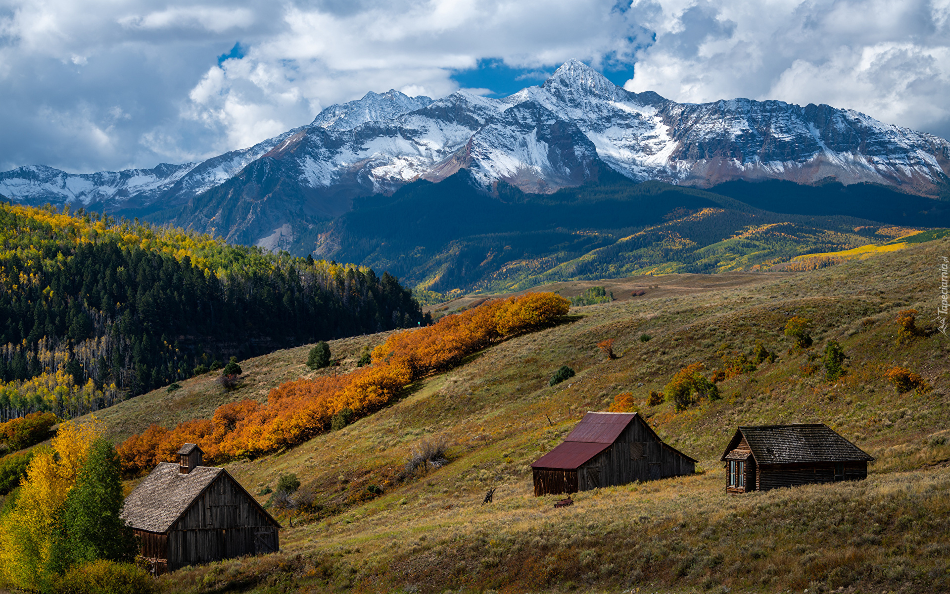 Góry, San Juan Mountains, Las, Drzewa, Domki, Jesień, Chmury, Kolorado, Stany Zjednoczone