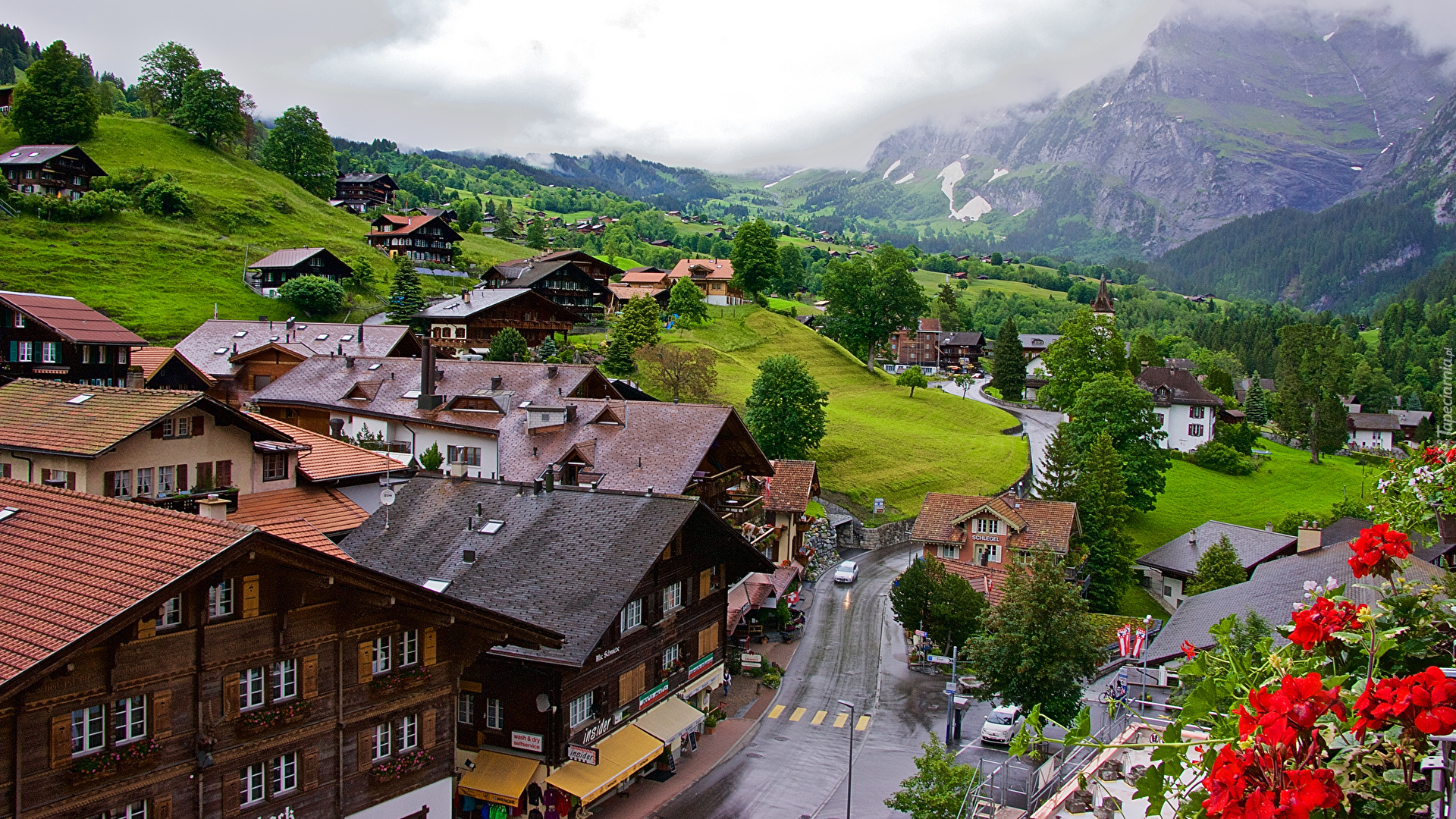 Domy, Droga, Góry, Miejscowość, Grindelwald, Kanton Berno, Szwajcaria