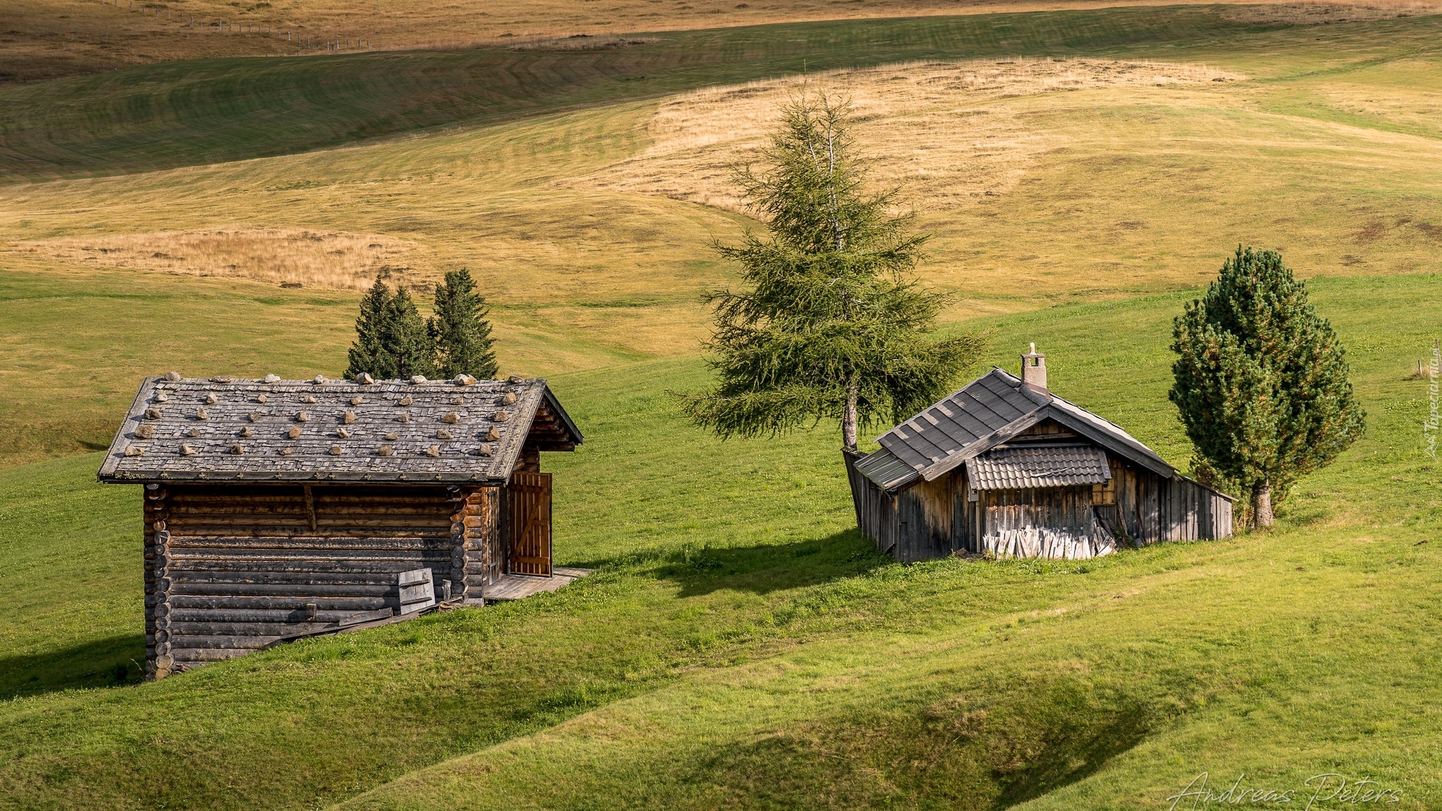 Płaskowyż, Seiser Alm, Dolina Val Gardena, Wzgórza, Łąki, Drewniane, Domki, Drzewa, Włochy