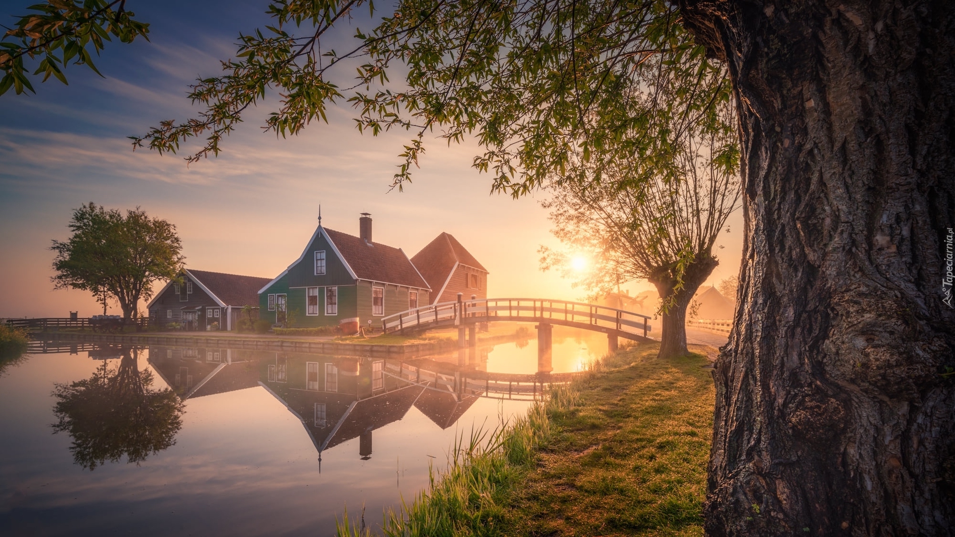 Wschód słońca, Domy, Most, Kanał, Drzewa, Wierzba, Skansen Zaanse Schans, Zaandam, Holandia