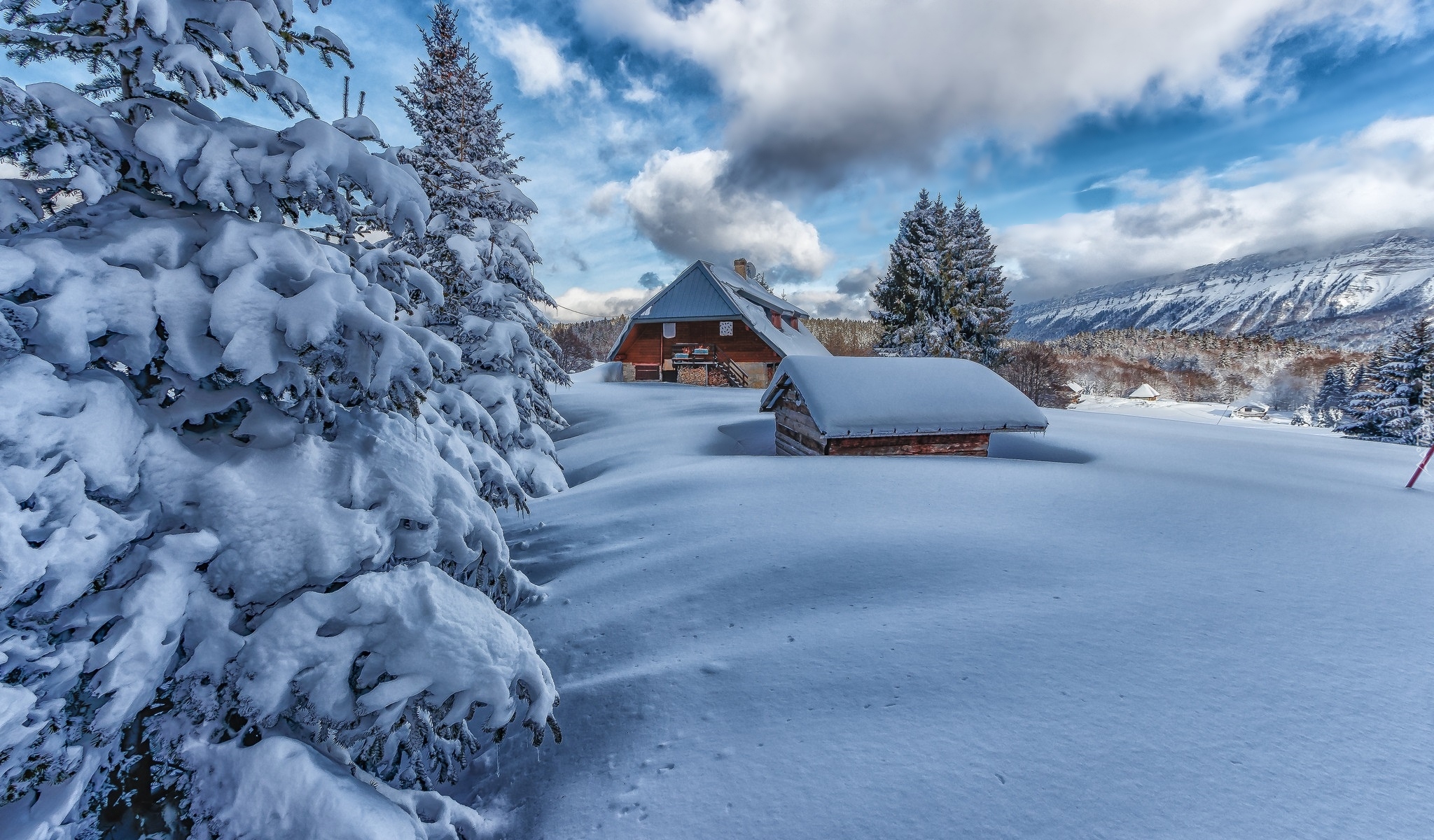 Zima, Śnieg, Drzewa, Domy