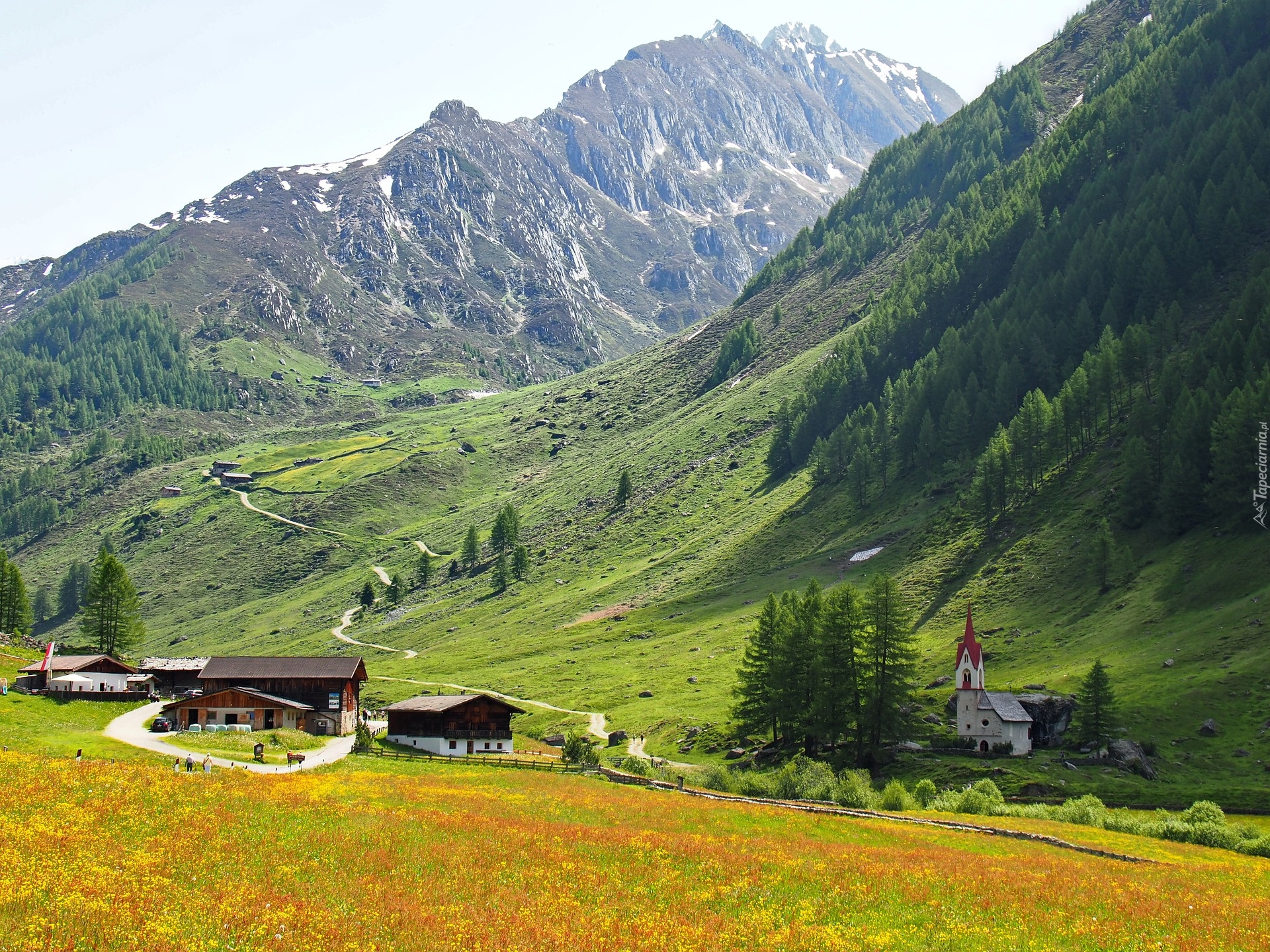 Góry, Alpy, Dolina Ahrntal, Domy, Kościół, Włochy