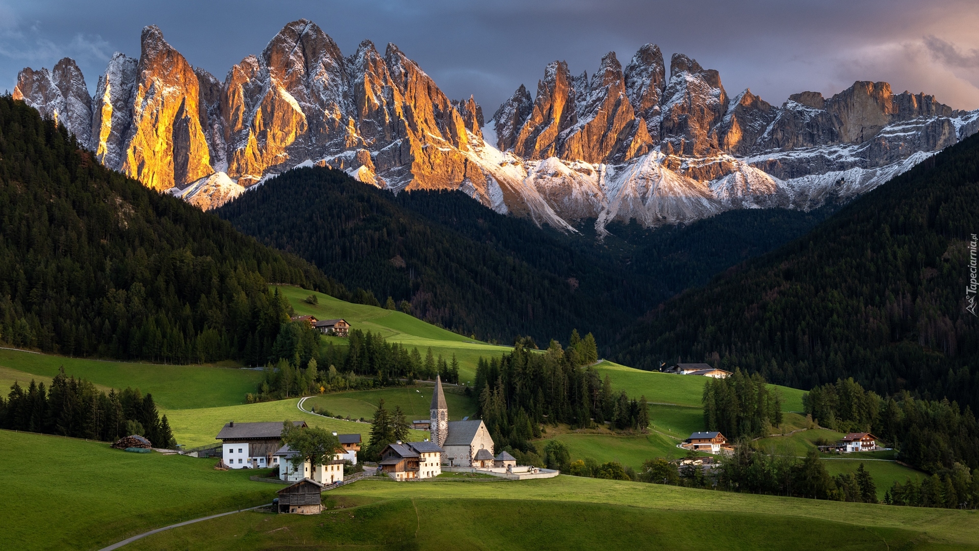 Włochy, Wieś, Santa Maddalena, Dolina Val di Funes, Góry, Dolomity, Lasy, Drzewa, Domy, Kościół