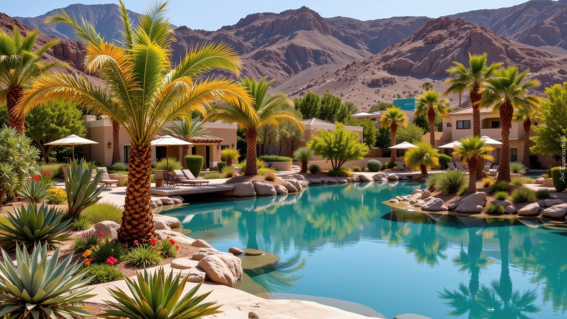 Domy, Basen, Palmy, Kwiaty, Rośliny, Parasole, Kamienie, Góry