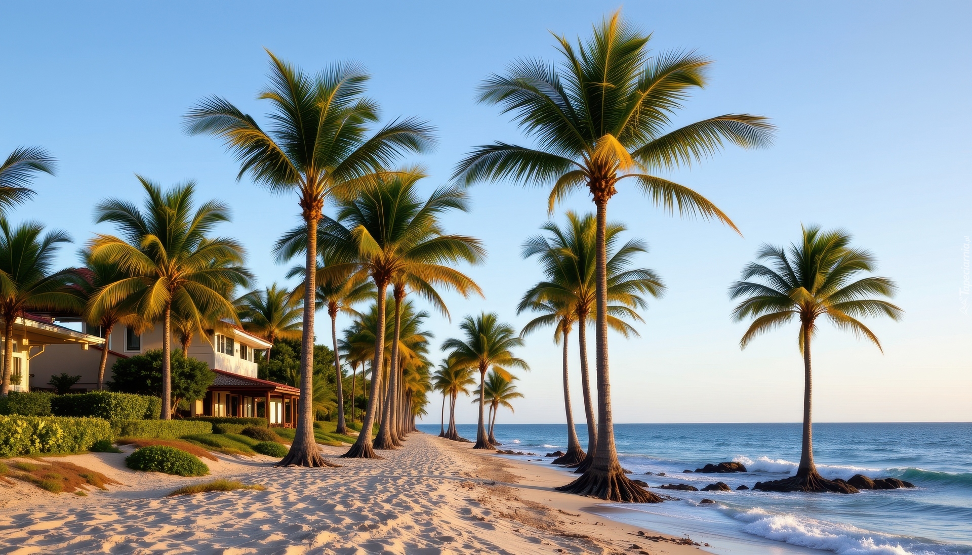 Palmy, Plaża, Dom, Morze