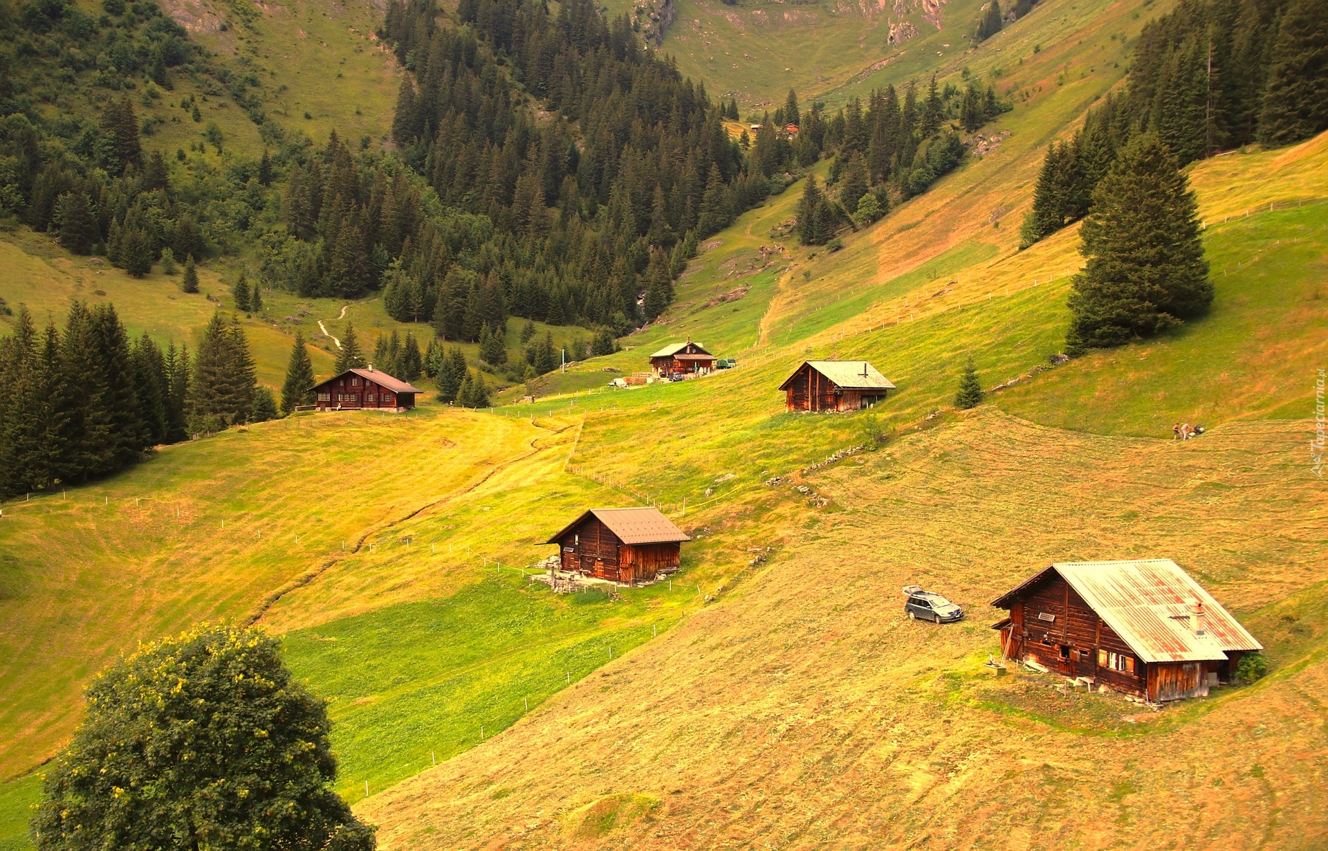 Góry, Domy, Pole, Zbocze