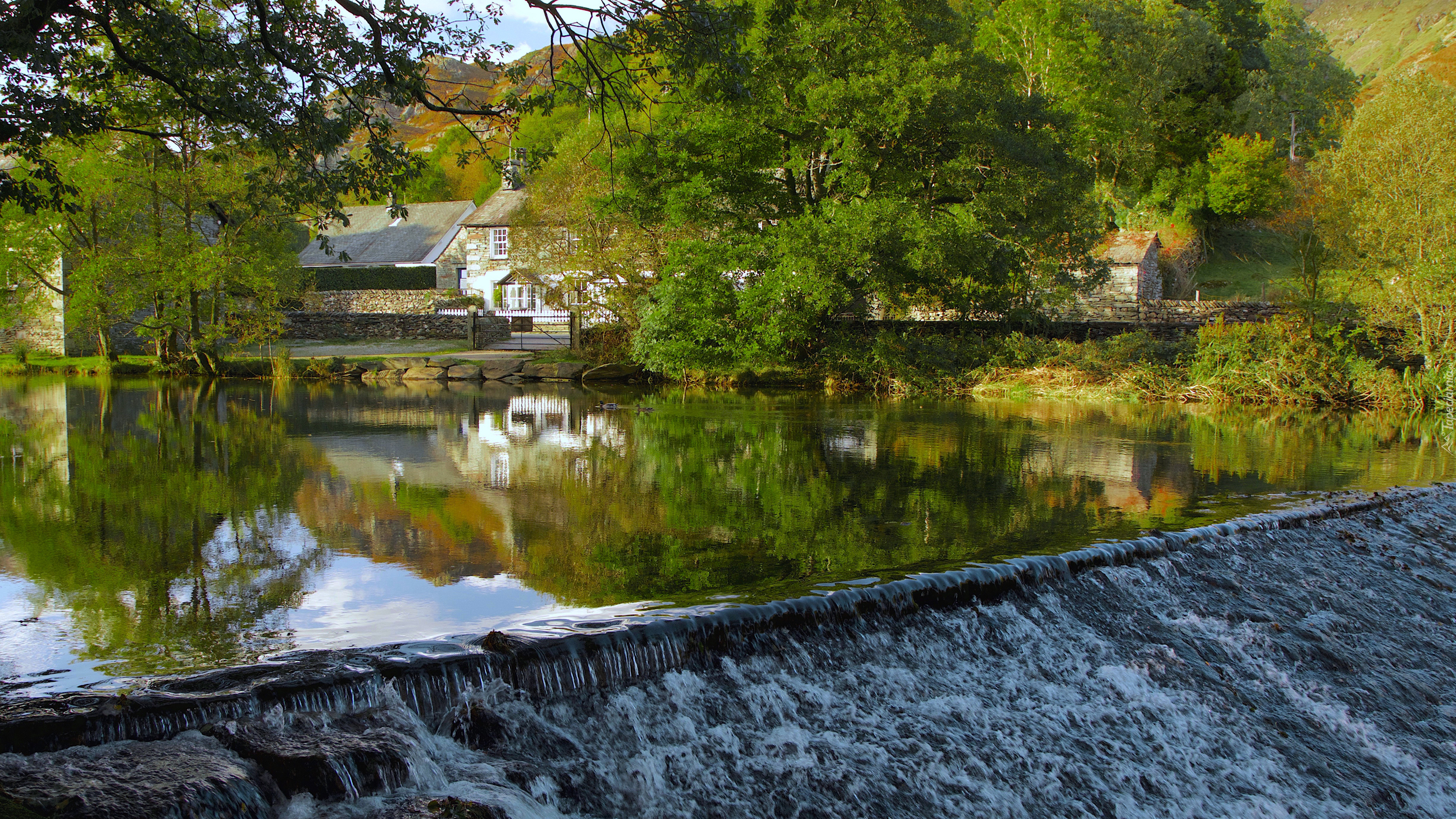 Anglia, Hrabstwo Kumbria, Rzeka River Brathay, Wieś Chapel Stile, Dom, Drzewa