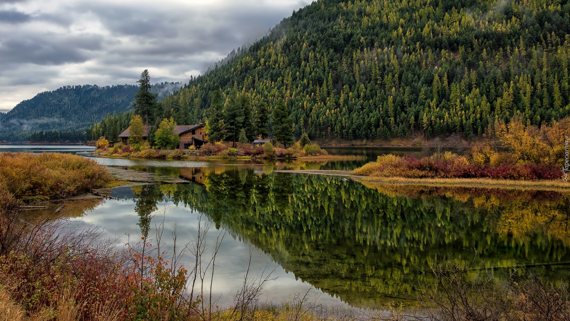 Zalesione, Góry, Las, Drzewa, Domy, Jezioro, Salmon Lake, Stan Montana, Stany Zjednoczone