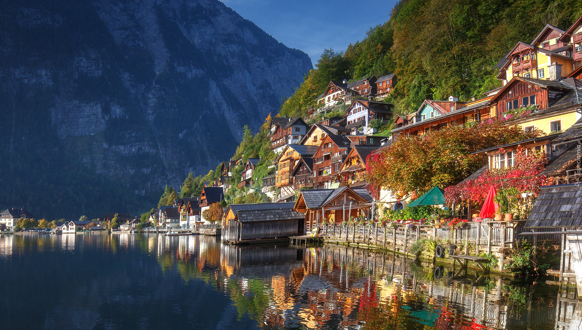 Austria, Hallstatt, Jezioro Hallstättersee, Alpy Salzburskie, Domy, Drzewa