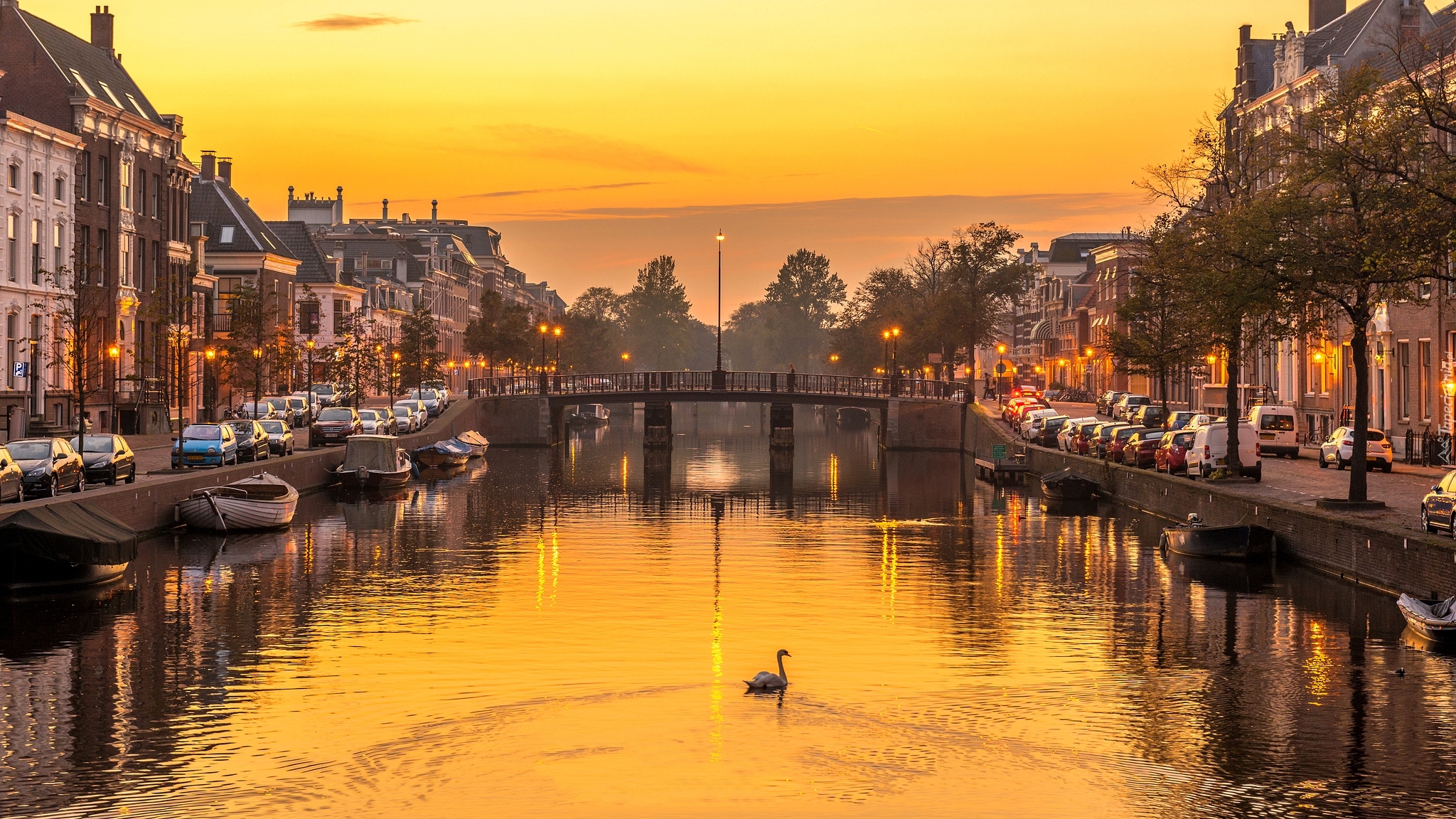 Holandia, Haarlem, Rzeka Spaarne, Kanał Nieuwe Gracht, Domy, Mostek