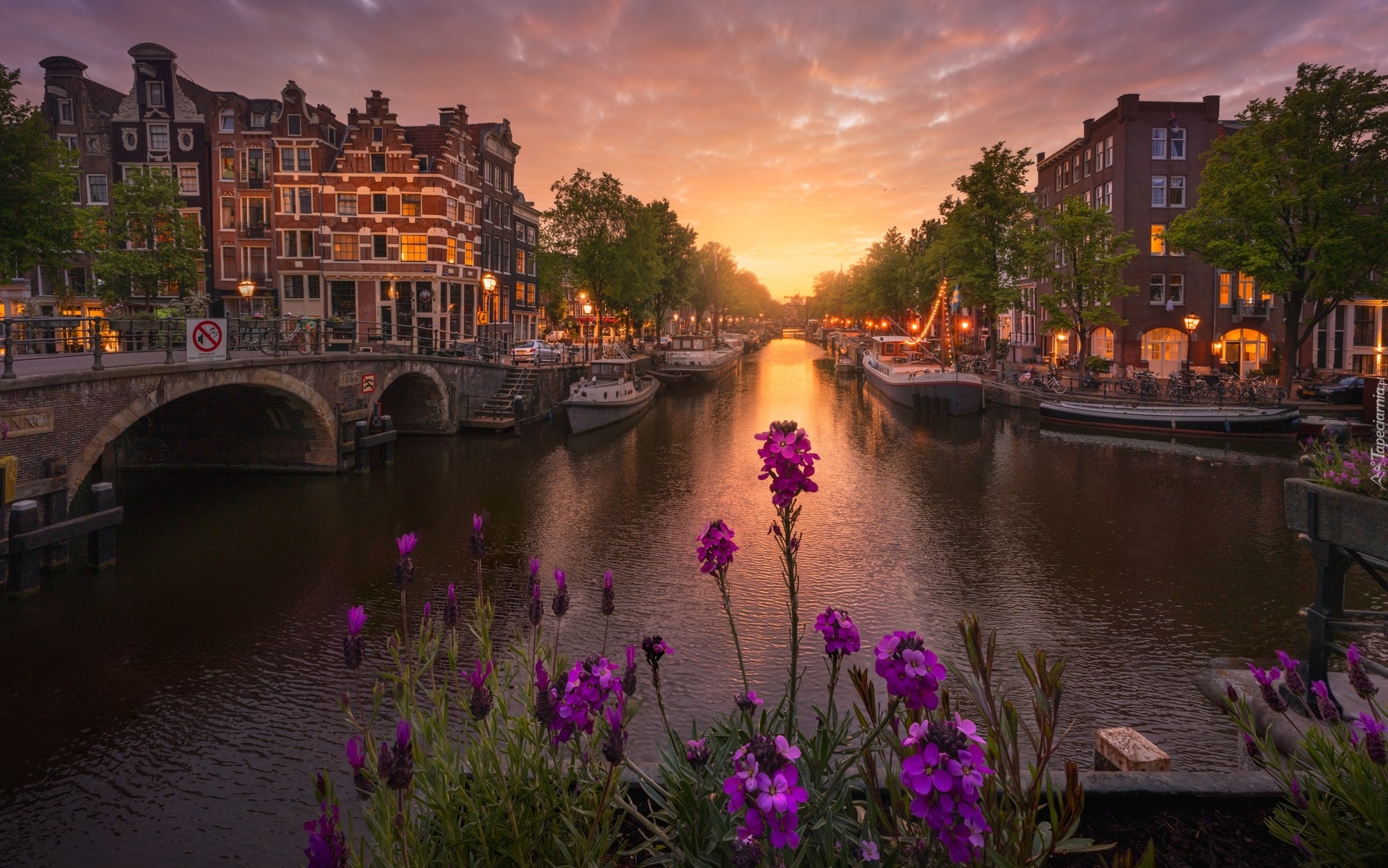 Holandia, Amsterdam, Domy, Kanał, Most, Kwiaty, Zachód słońca