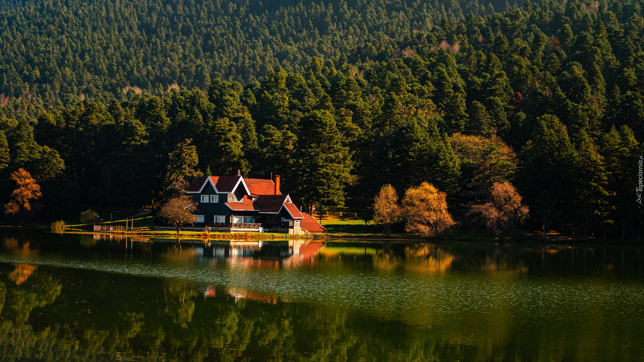 Jezioro Golcuk, Dom, Lasy, Prowincja Bolu, Turcja