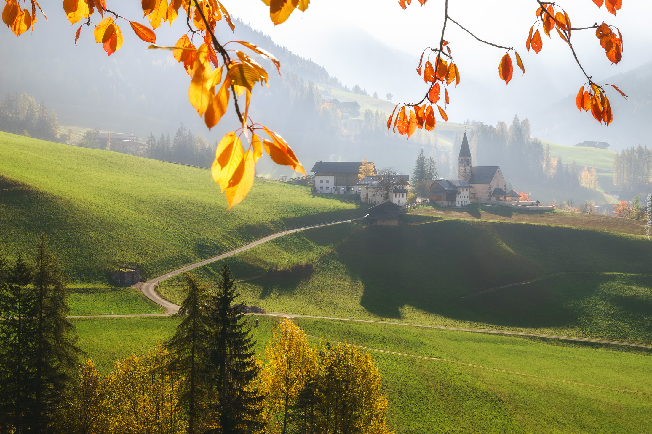 Dolina Val di Funes, Wieś Santa Maddalena, Góry, Lasy, Drzewa, Domy, Kościół, Gałązki, Liście, Włochy