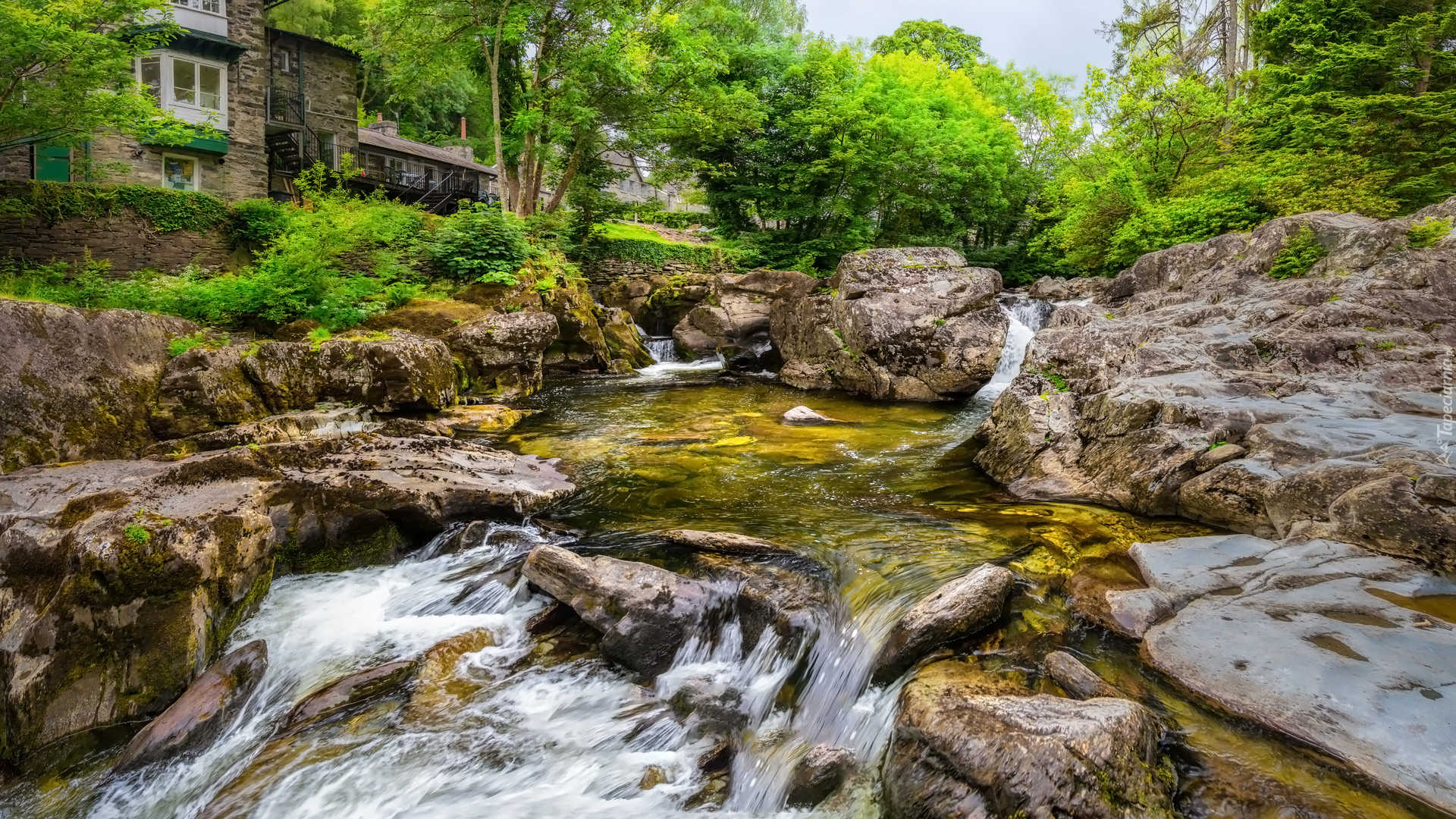 Rzeka, River Llugwy, Rośliny, Skały, Kamienie, Drzewa, Domy, Betws y Coed, Walia