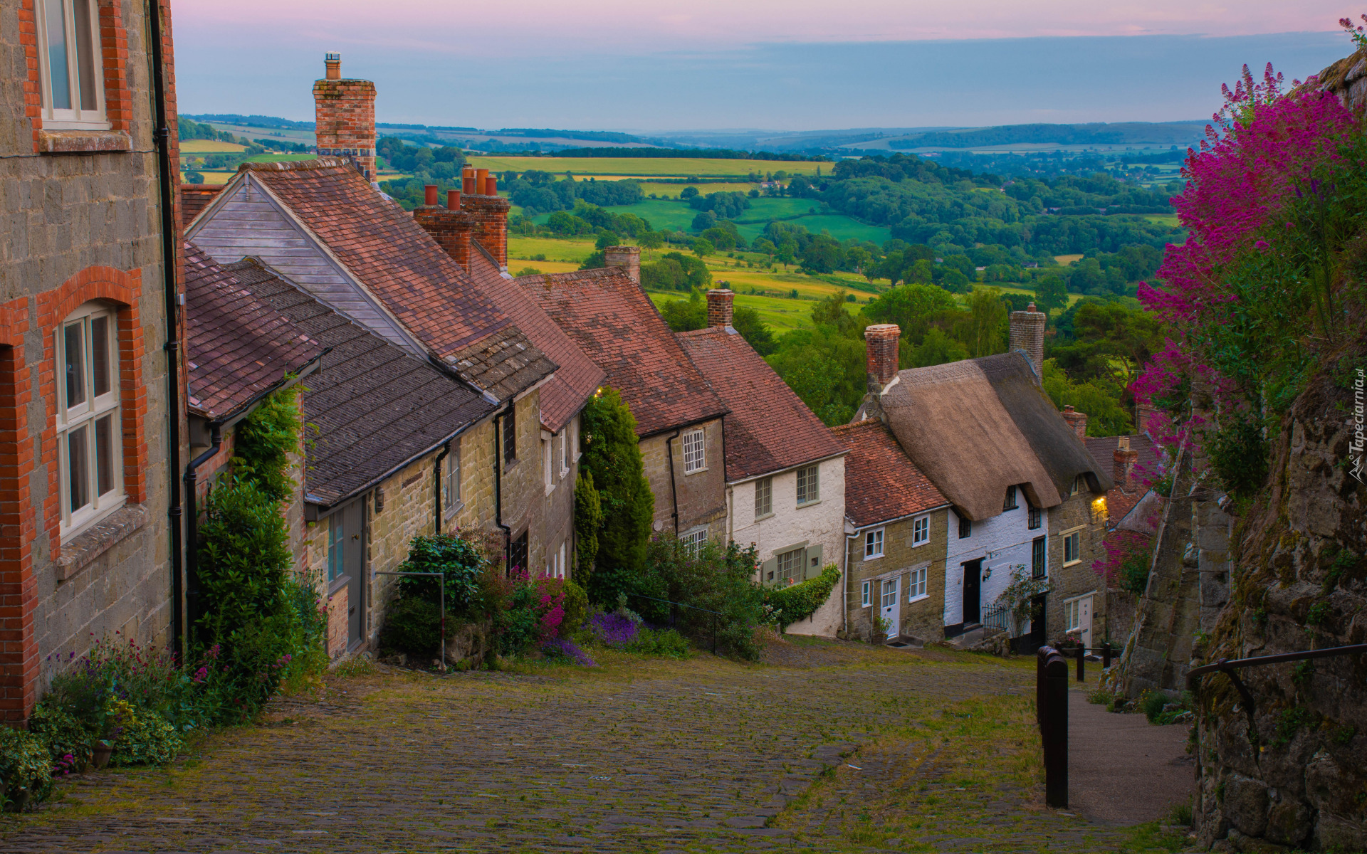 Anglia, Hrabstwo Dorset, Shaftesbury, Ulica, Domy, Roślinność