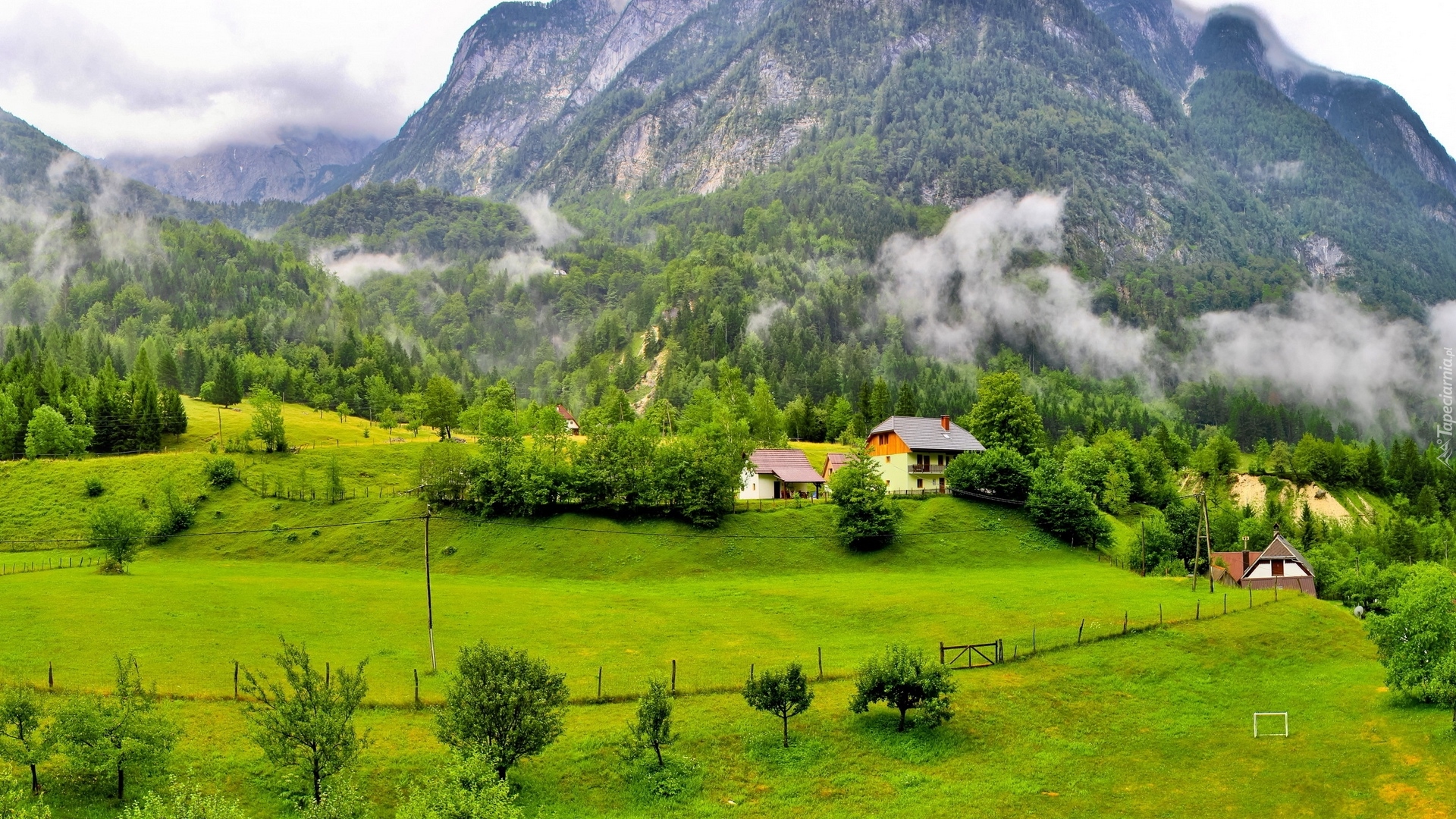 Góry, Alpy Julijskie, Lasy, Drzewa, Domy, Mgła, Roślinność, Gmina Bovec, Słowenia