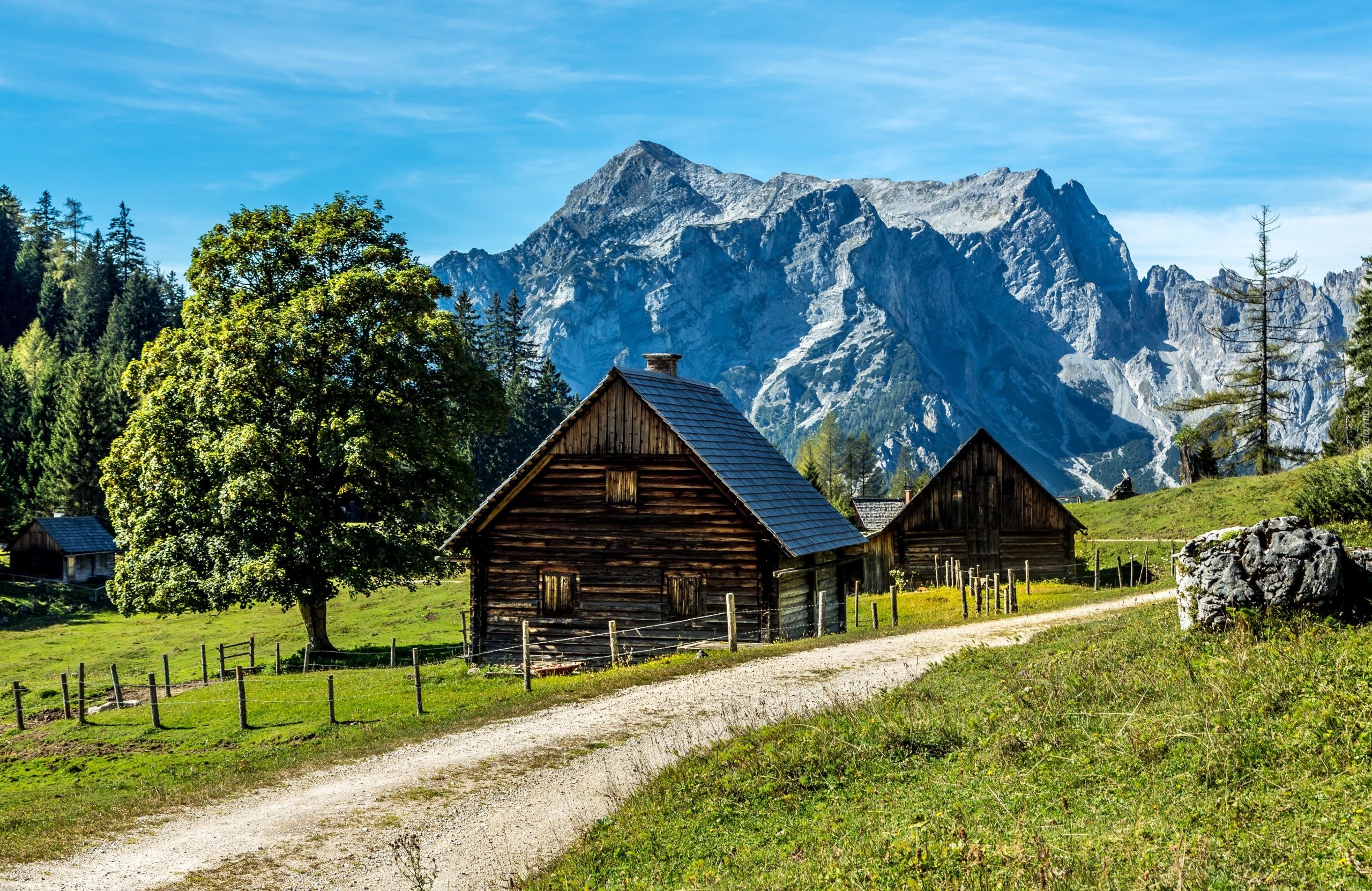 Austria, Styria, Gmina Johnsbach, Góry, Szczyt Tamischbachturm, Domy, Droga, Drzewa