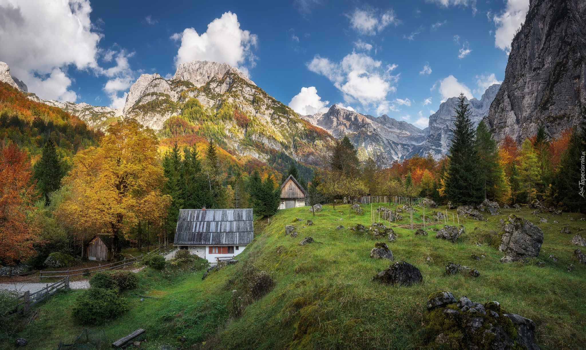 Góry, Alpy Julijskie, Domy, Drzewa, Dolina Trenta, Słowenia