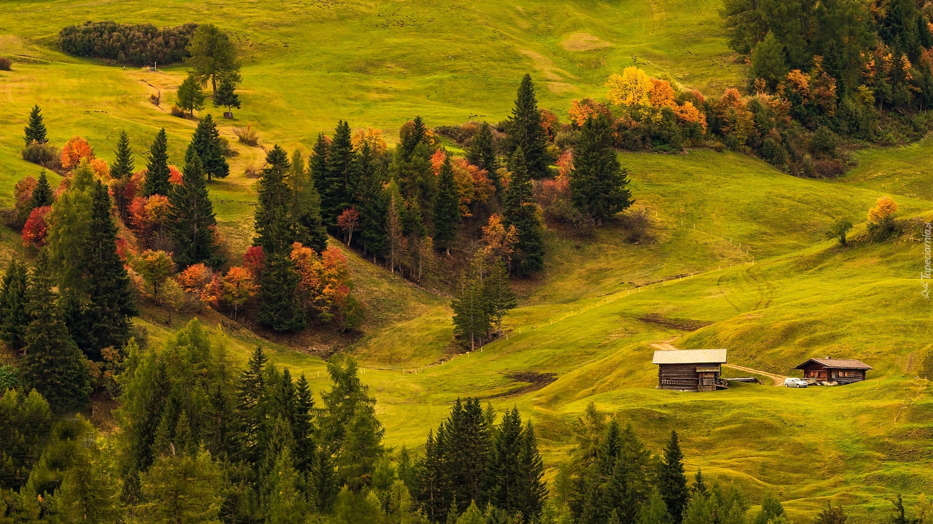 Płaskowyż, Seiser Alm, Dolina Val Gardena, Wzgórza, Łąki, Drewniane, Domy, Drzewa, Włochy