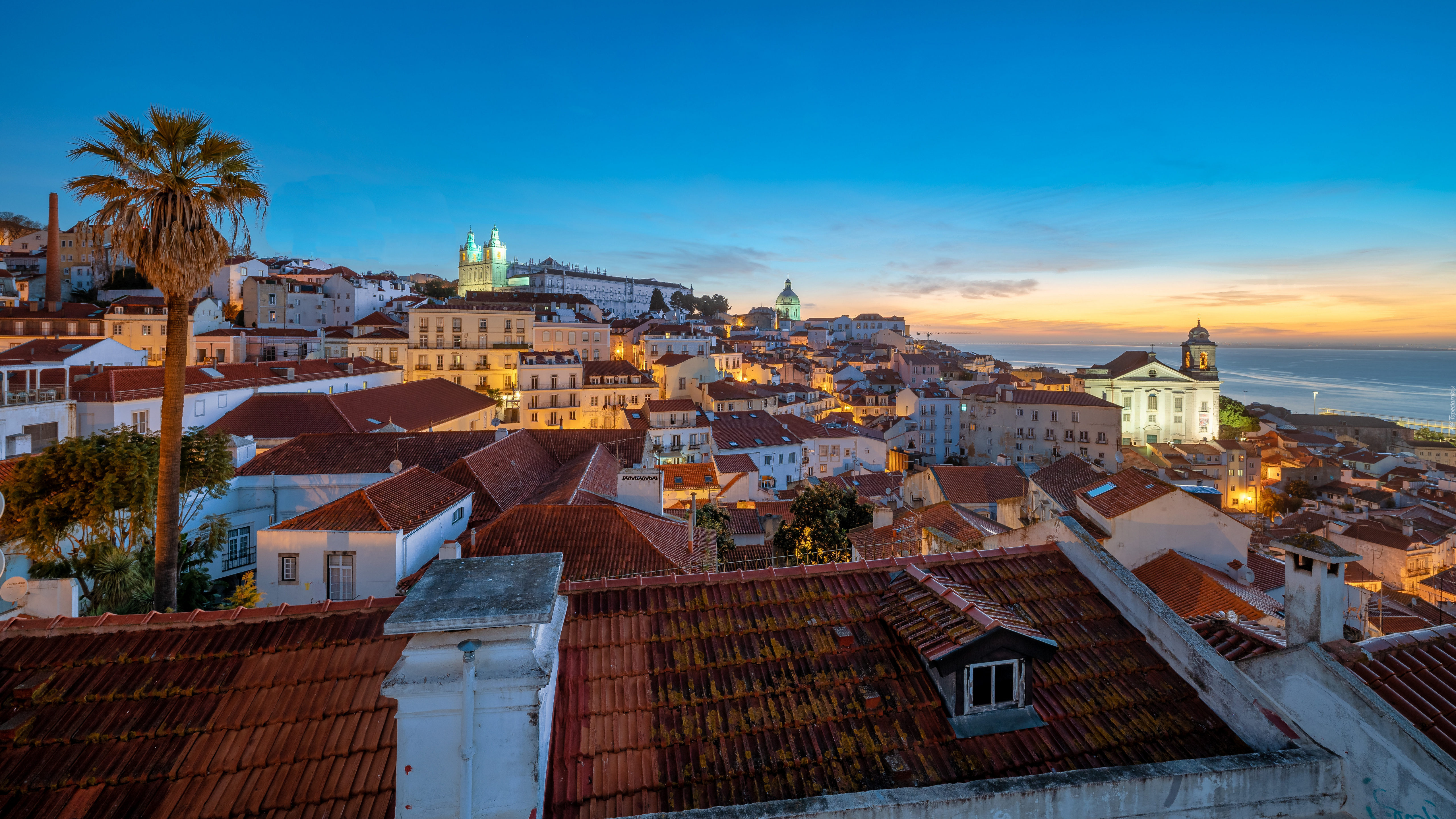 Portugalia, Lizbona, Dzielnica Alfama, Stok, Domy, Dachy, Palma