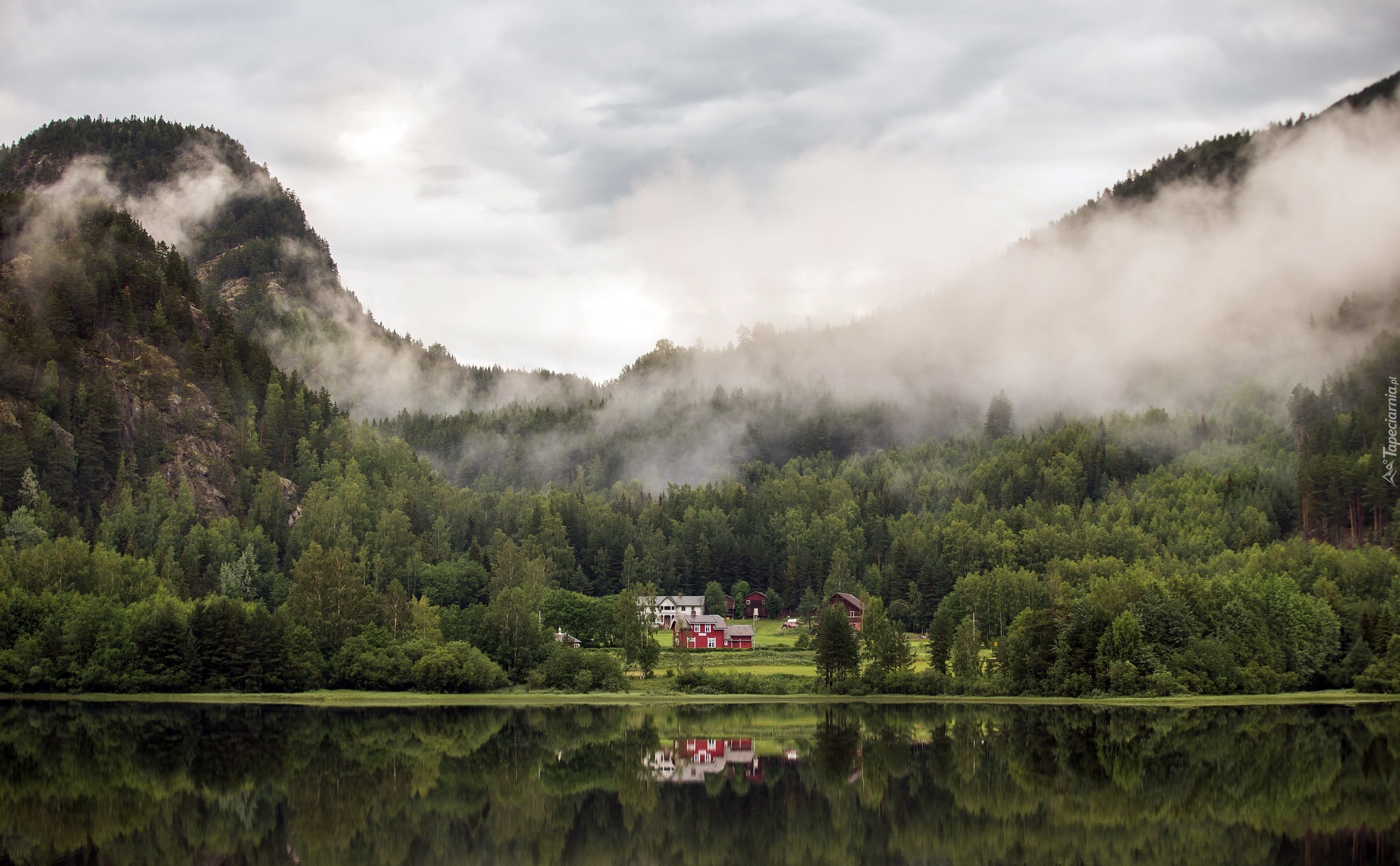 Norwegia, Okręg Buskerud, Jezioro, Góry, Las, Mgła, Domy