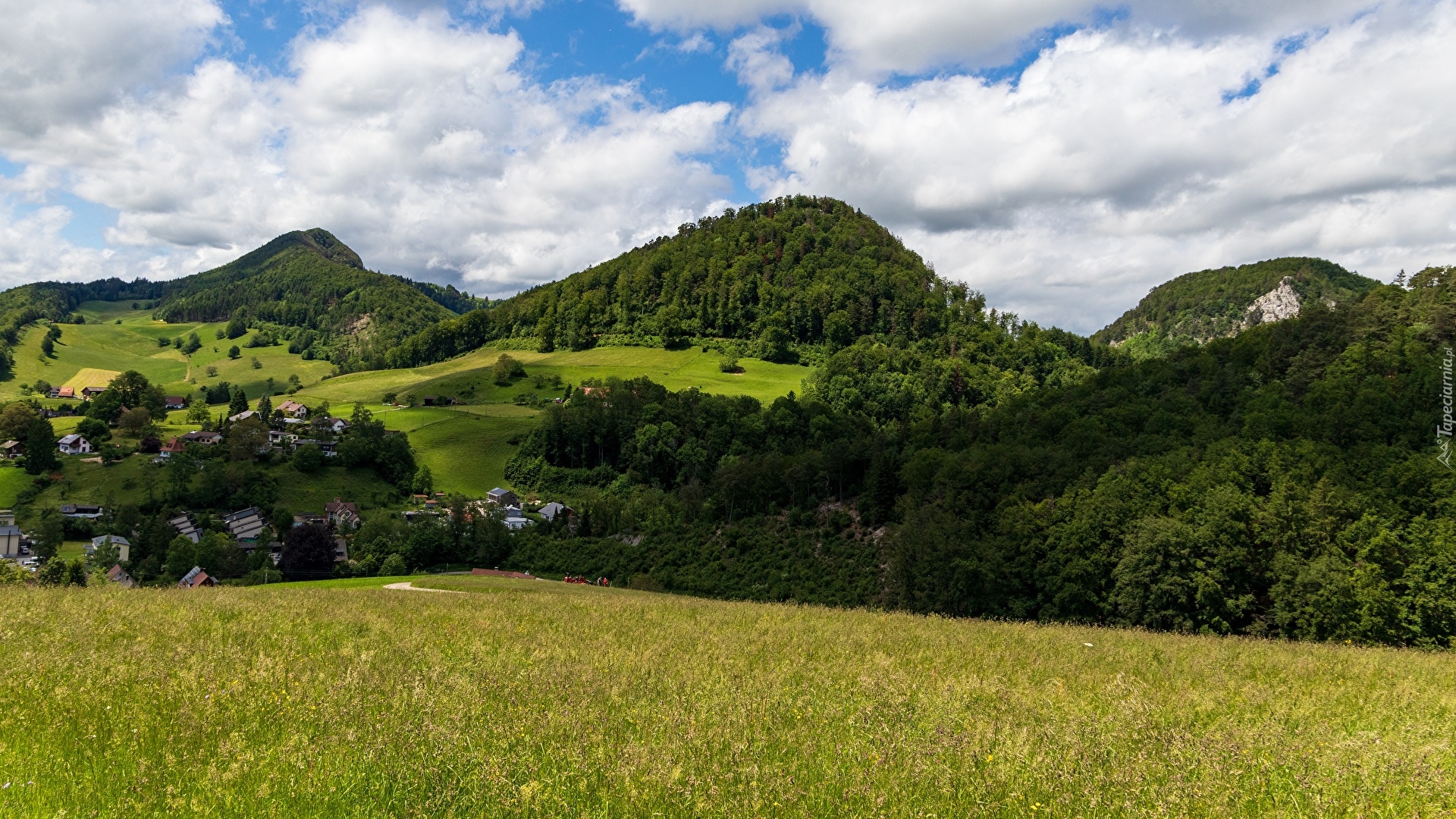 Góry, Lasy, Łąka, Trawa, Domy, Chmury, Kanton Bazylea-Landschaft, Szwajcaria