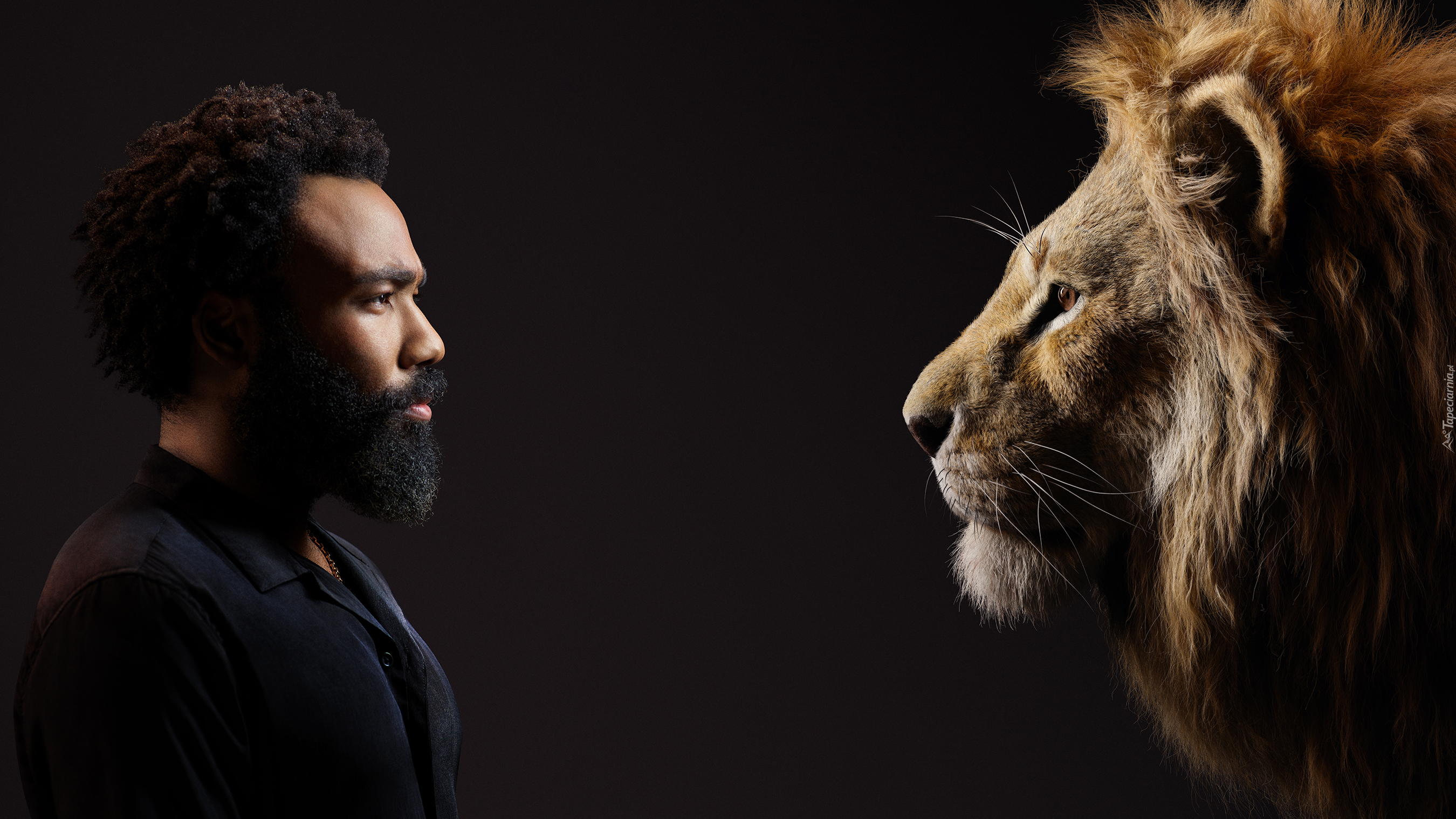 Film, Król Lew, The Lion King, Aktor, Donald Glover, Lew