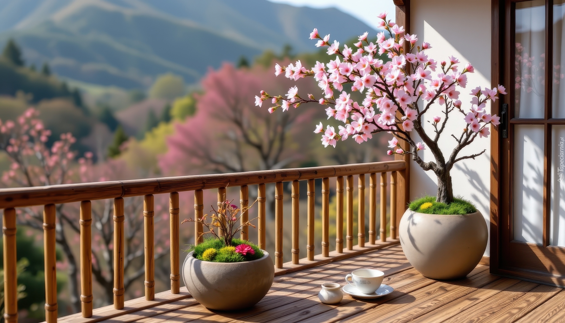 Balkon, Donice, Kwiaty, Filiżanka