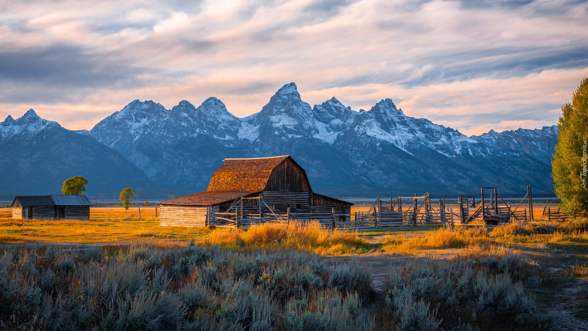 Stodoła, Drewniana, Chata, Góry Teton Range, Drzewa, Park Narodowy Grand Teton, Stan Wyoming, Stany Zjednoczone