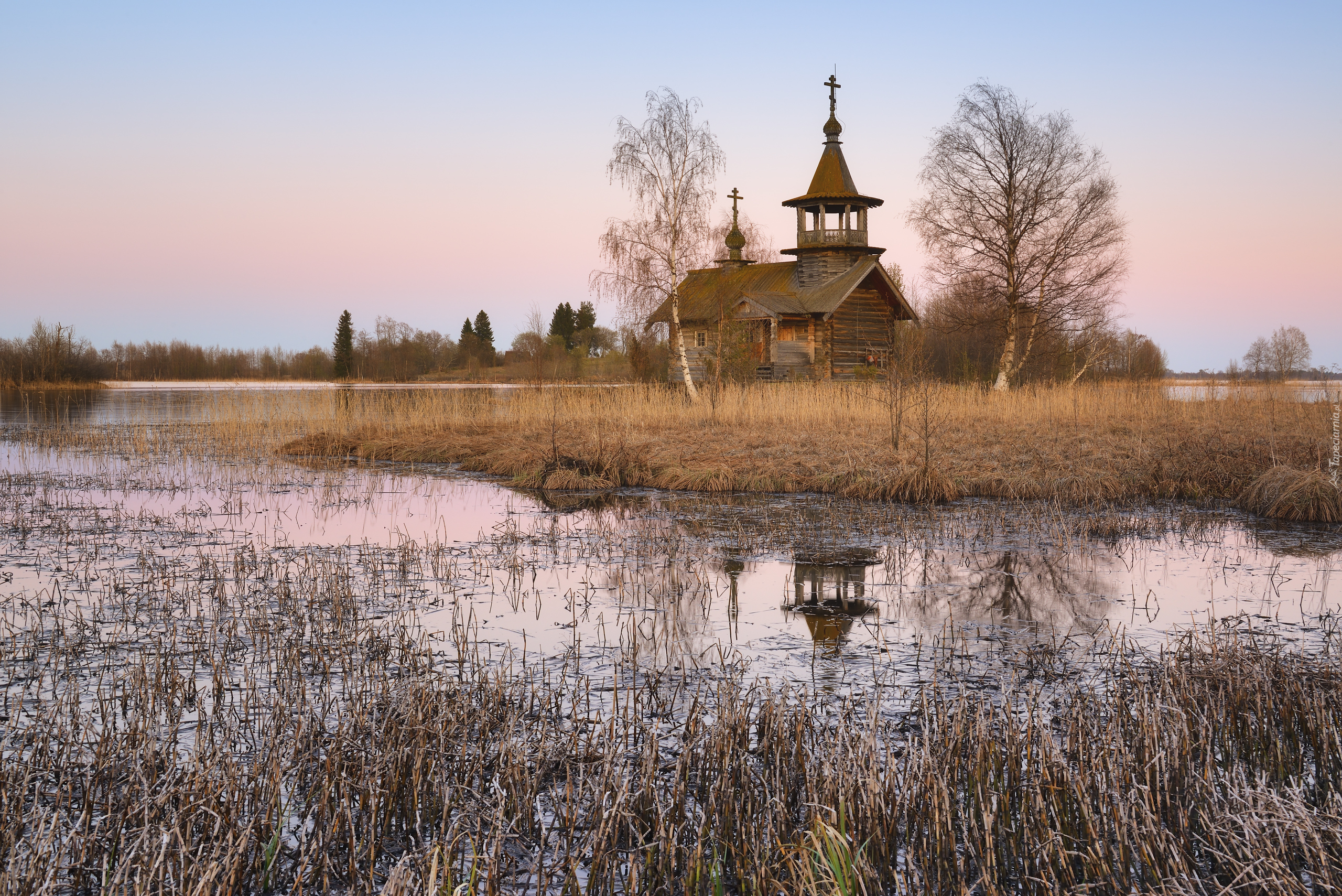 Drewniana, Kaplica, Brzozy, Rozlewisko, Trawy, Jezioro Onega, Wyspa Kiży, Karelia, Rosja