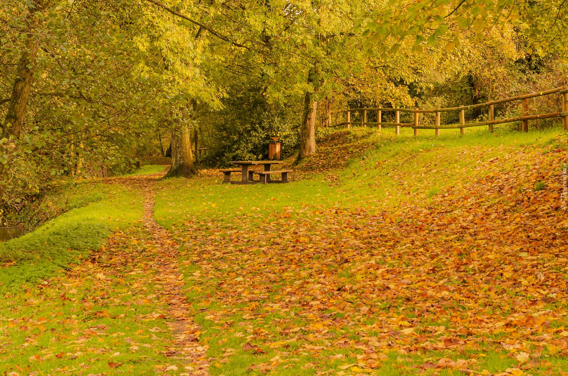 Jesień, Drzewa, Opadłe, Liście, Ogrodzenie, Ławki, Stół, Park