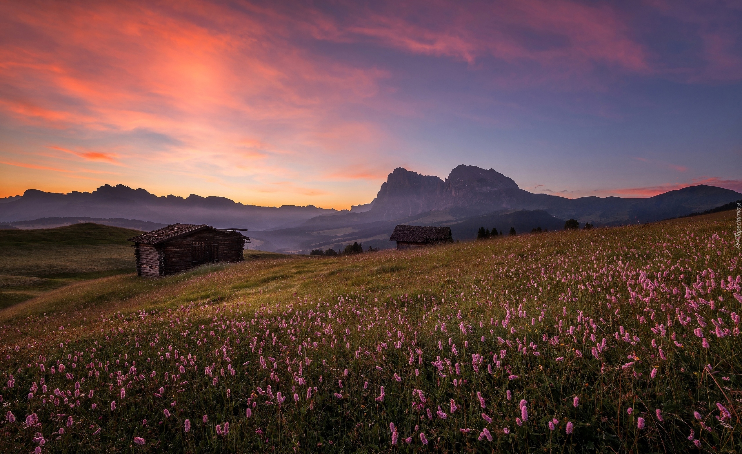 Płaskowyż Seiser Alm, Włochy, Góry Dolomity, Łąka, Kwiaty,  Drewniane, Chaty, Zachód słońca