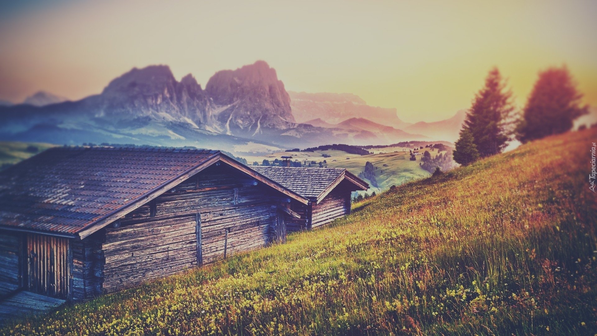 Drewniane, Domki, Łąka, Płaskowyż Seiser Alm, Dolina Val Gardena, Dolomity, Góry Sassolungo, Drzewa, Mgła, Rozmycie, Włochy