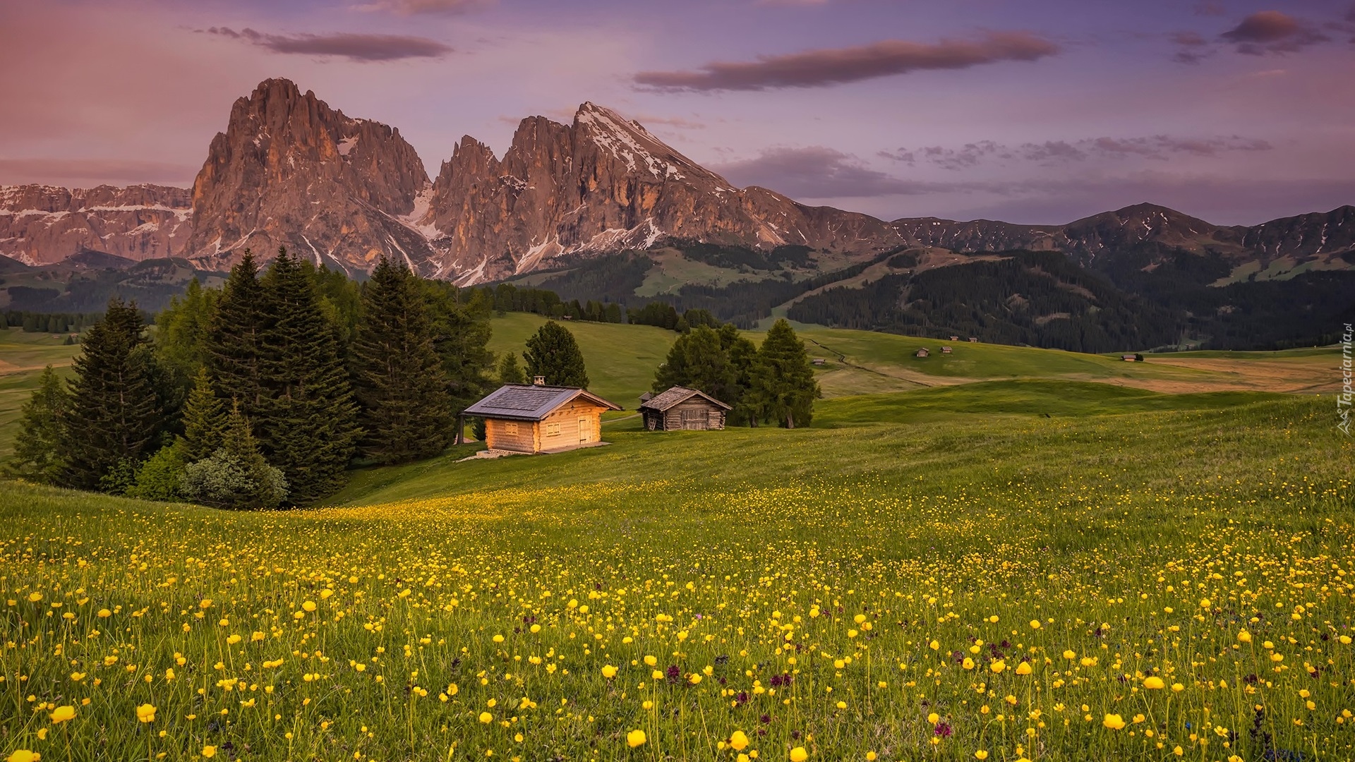 Dolomity, Góry Sassolungo, Płaskowyż Seiser Alm, Dolina, Val Gardena, Drzewa, Chmury, Drewniane, Domy, Łąka, Kwiaty, Włochy