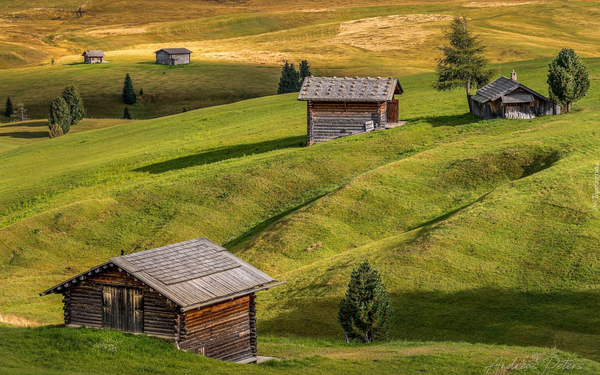 Płaskowyż Seiser Alm, Dolina Val Gardena, Wzgórza, Łąki, Drewniane, Domki, Drzewa, Włochy