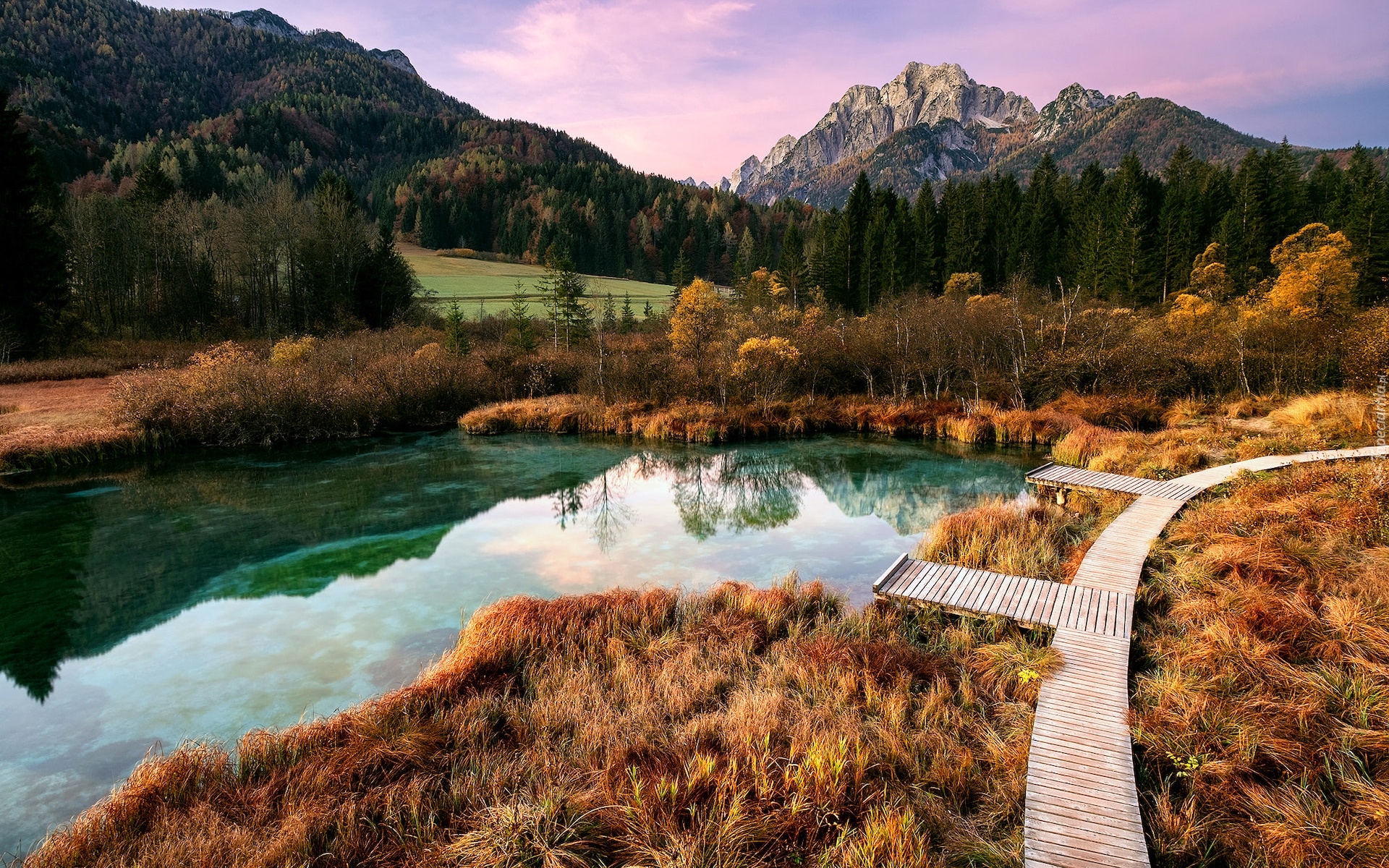 Słowenia, Kranjska Gora, Rezerwat przyrody Zelenci, Jezioro Zelenci, Góry, Drzewa, Drewniany, Pomost, Jesień