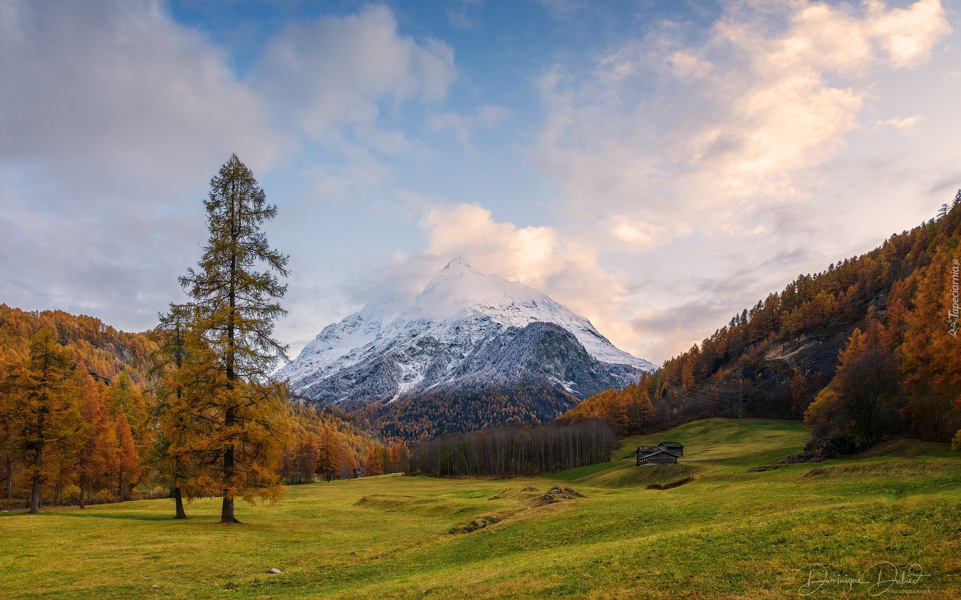 Góry, Las, Drzewa, Jesień, Chmury, Drewniane, Szopy, Szwajcaria