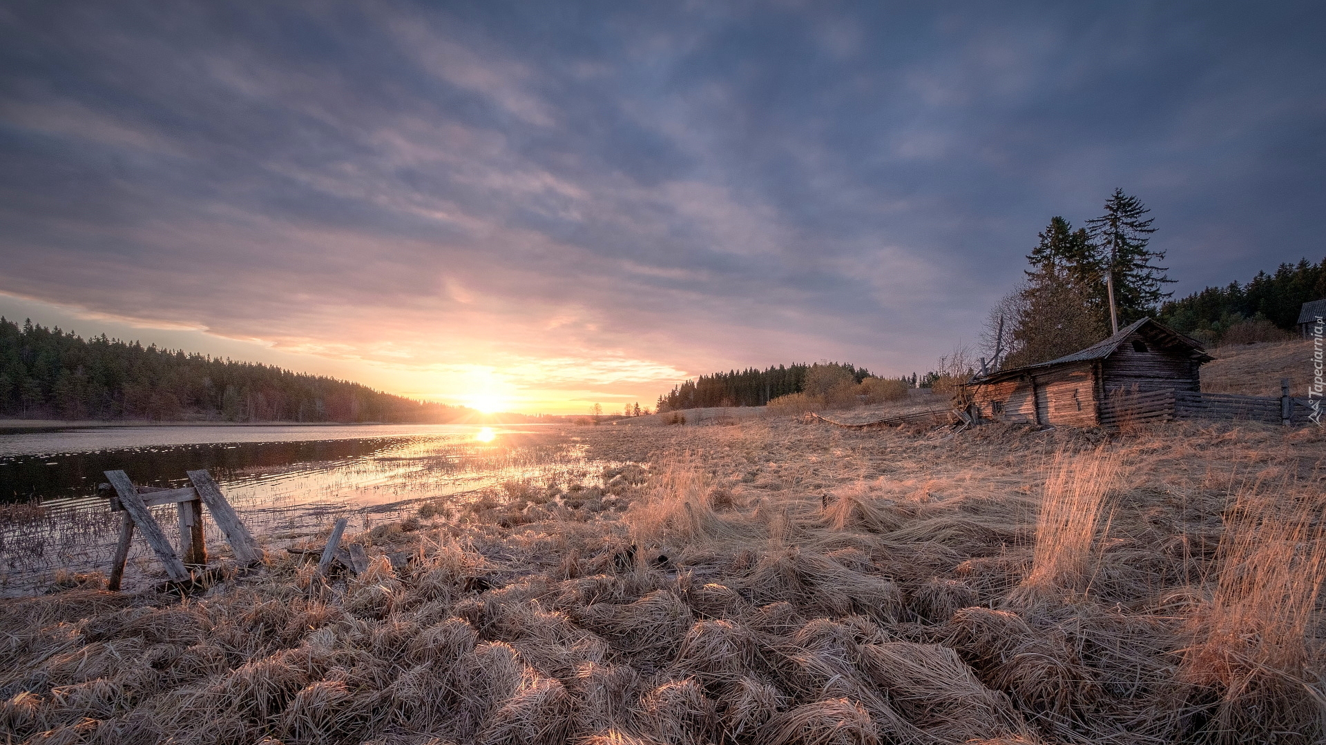 Jezioro Ładoga, Drewniany, Dom, Pole, Trawa, Karelia, Rosja