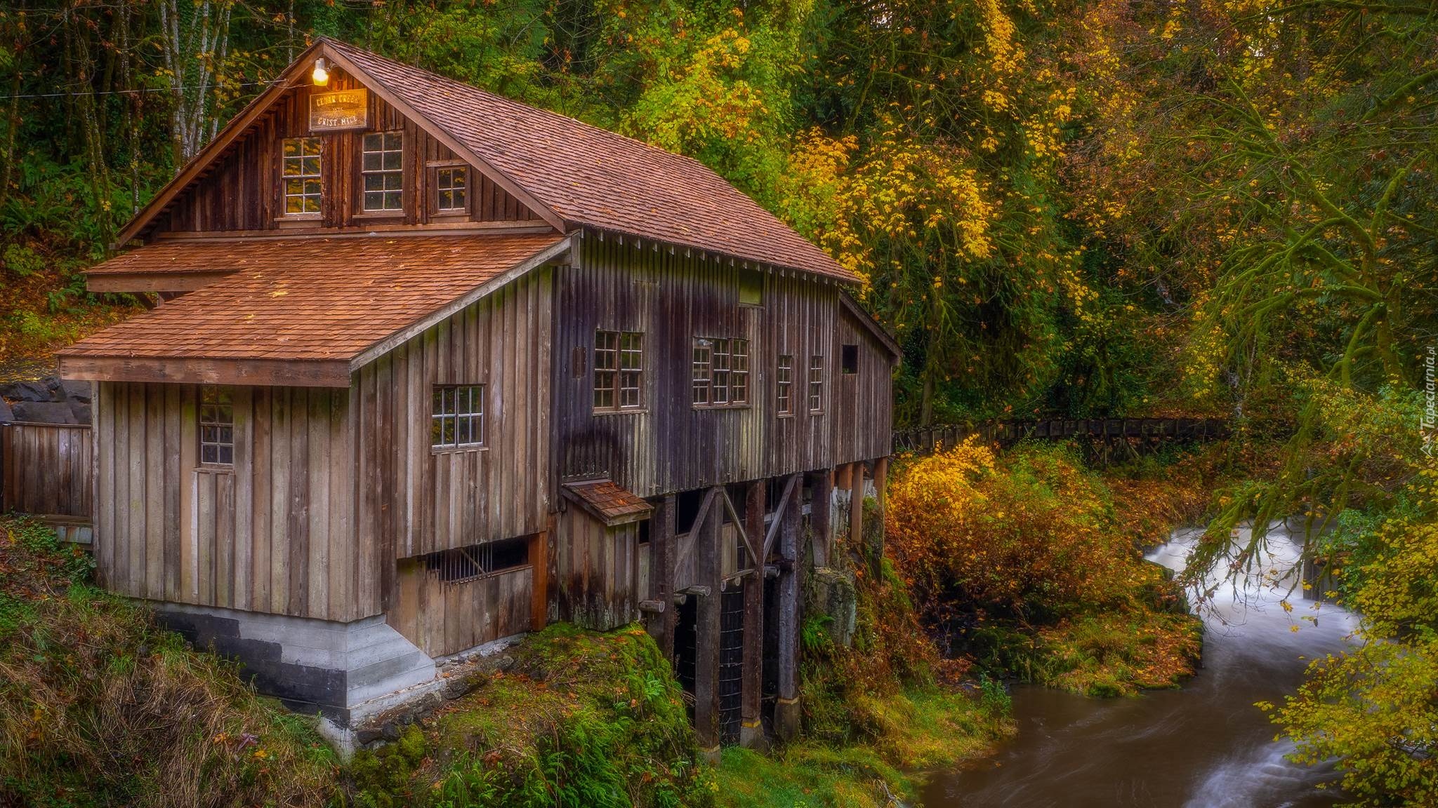 Młyn, Cedar Creek Grist Mill, Rzeka, Las, Drzewa, Woodland, Stan Waszyngton, Stany Zjednoczone