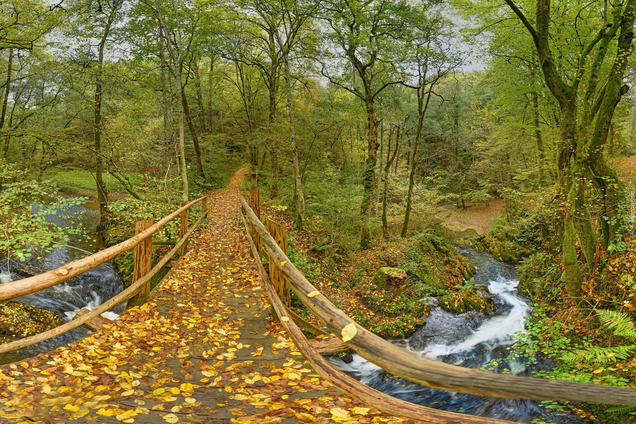 Niemcy, Nadrenia-Palatynat, Leienkaul, Most, Park, Rzeka, Jesień,  Drzewa