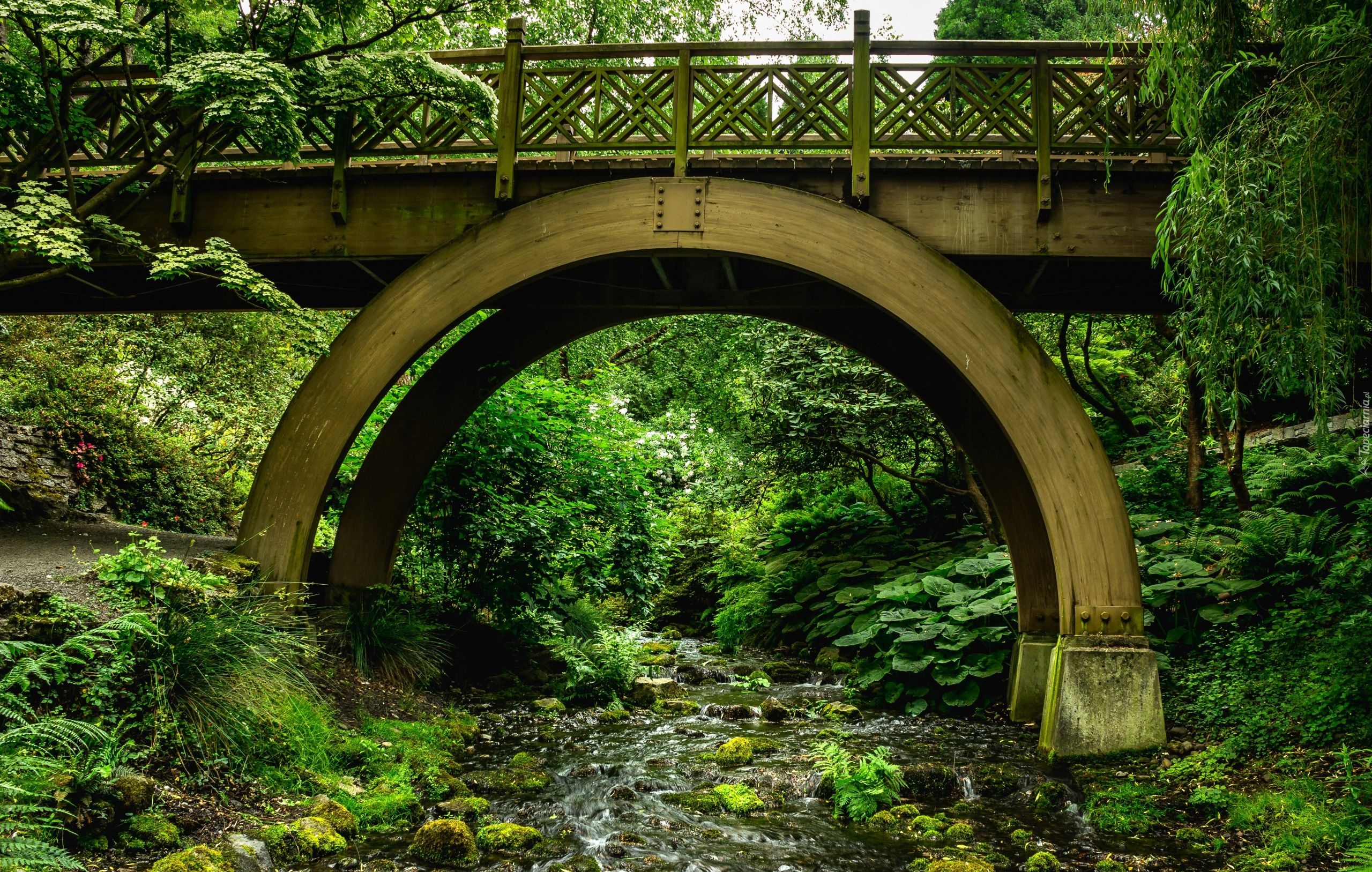 Stany, Zjednoczone, Stan Oregon, Ogród Botaniczny Crystal Springs Rhododendron Gardens, Most drewniany, Rzeka, Strumień, Drzewa