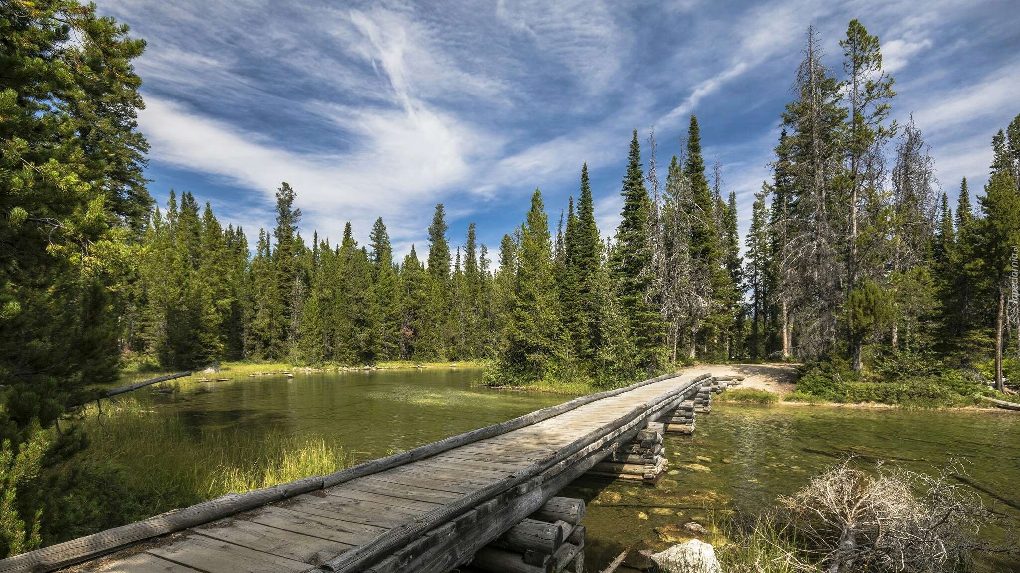 Park Narodowy Grand Teton, Stan Wyoming, Stany Zjednoczone, Jezioro, Drzewa, Drewniany, Most, Chmury