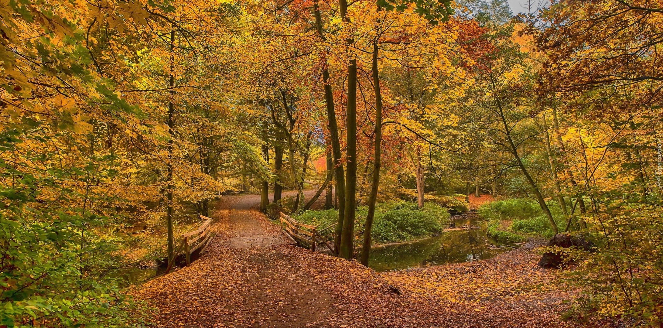 Jesień, Park, Drzewa, Rzeczka, Mostek, Alejka, Liście