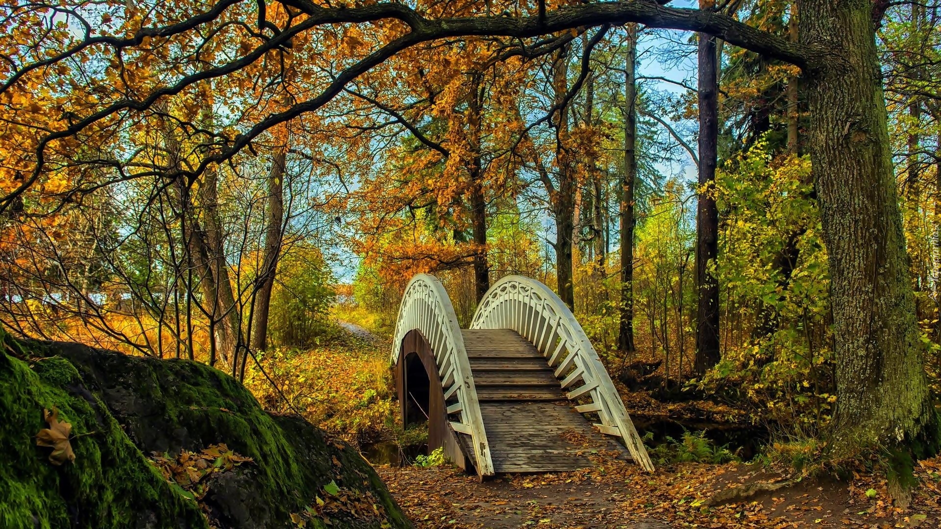 Park, Drzewa, Mostek, Rzeczka, Jesień