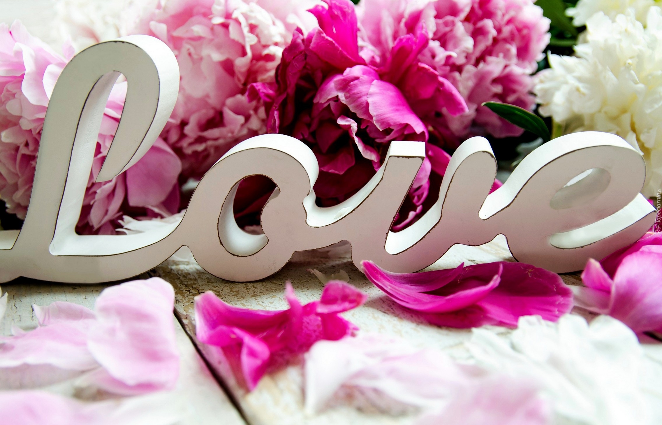 Kwiaty, Piwonie, Napis, Love