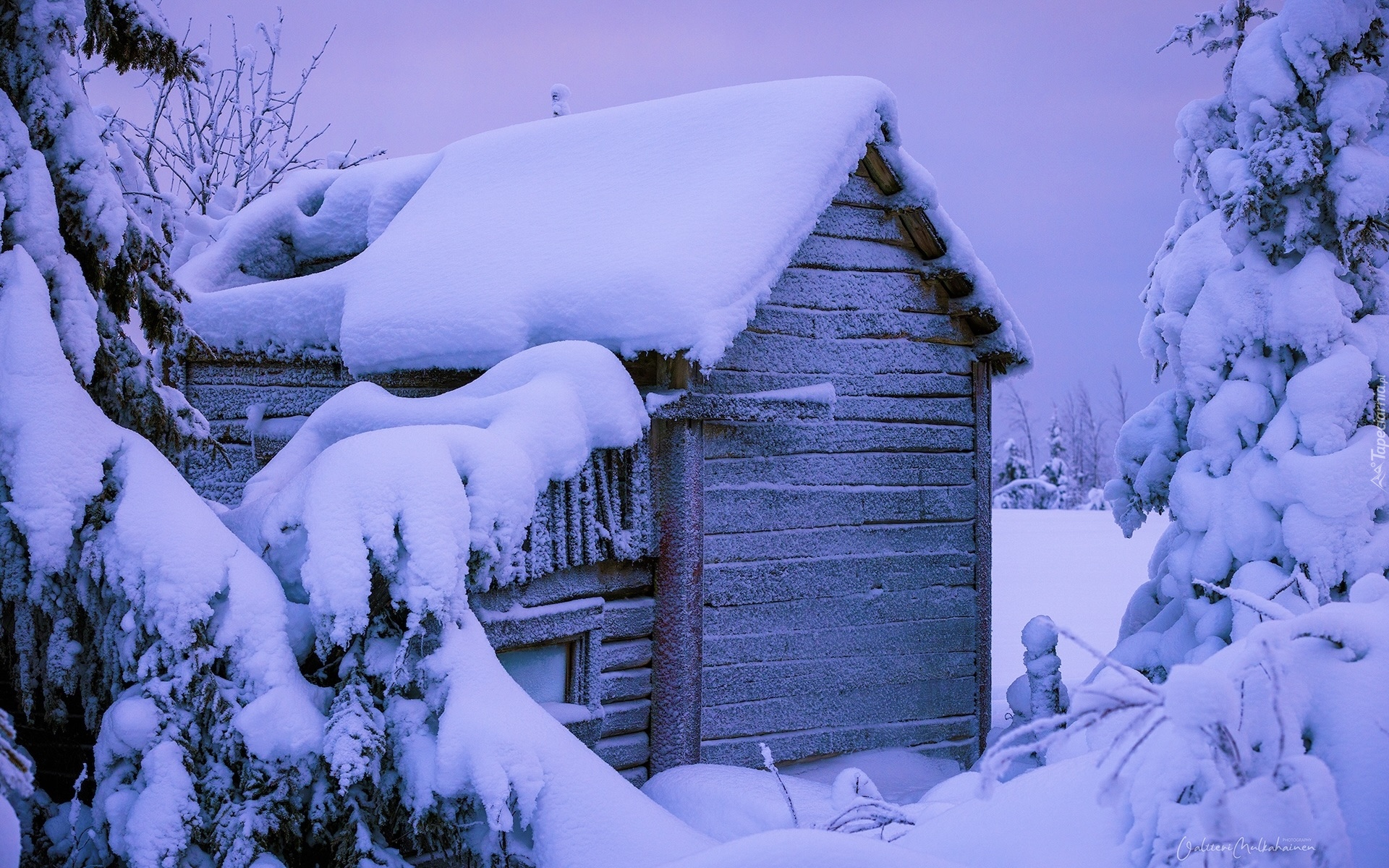 Zima, Drzewa, Domek, Drewniany, Śnieg