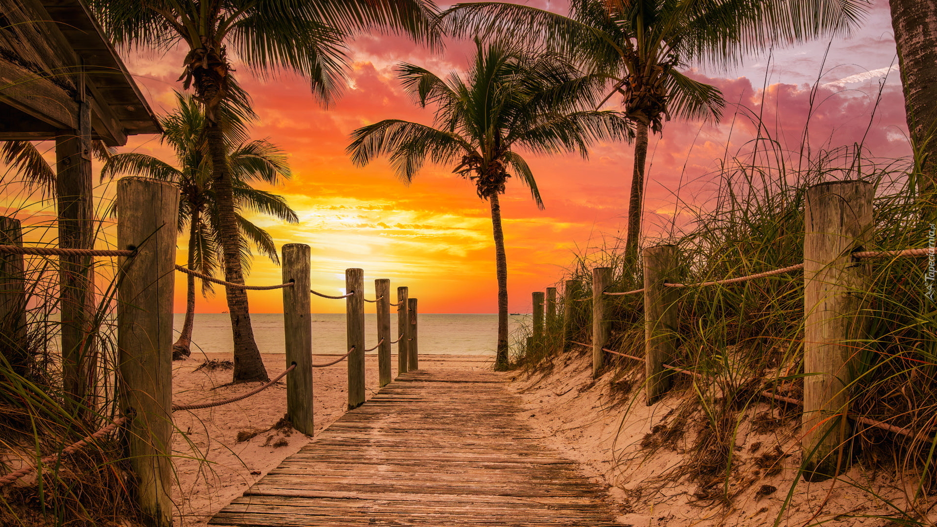 Zachód słońca, Plaża, Smathers Beach, Morze, Podest, Ogrodzenie, Palmy, Key West, Floryda, Stany Zjednoczone