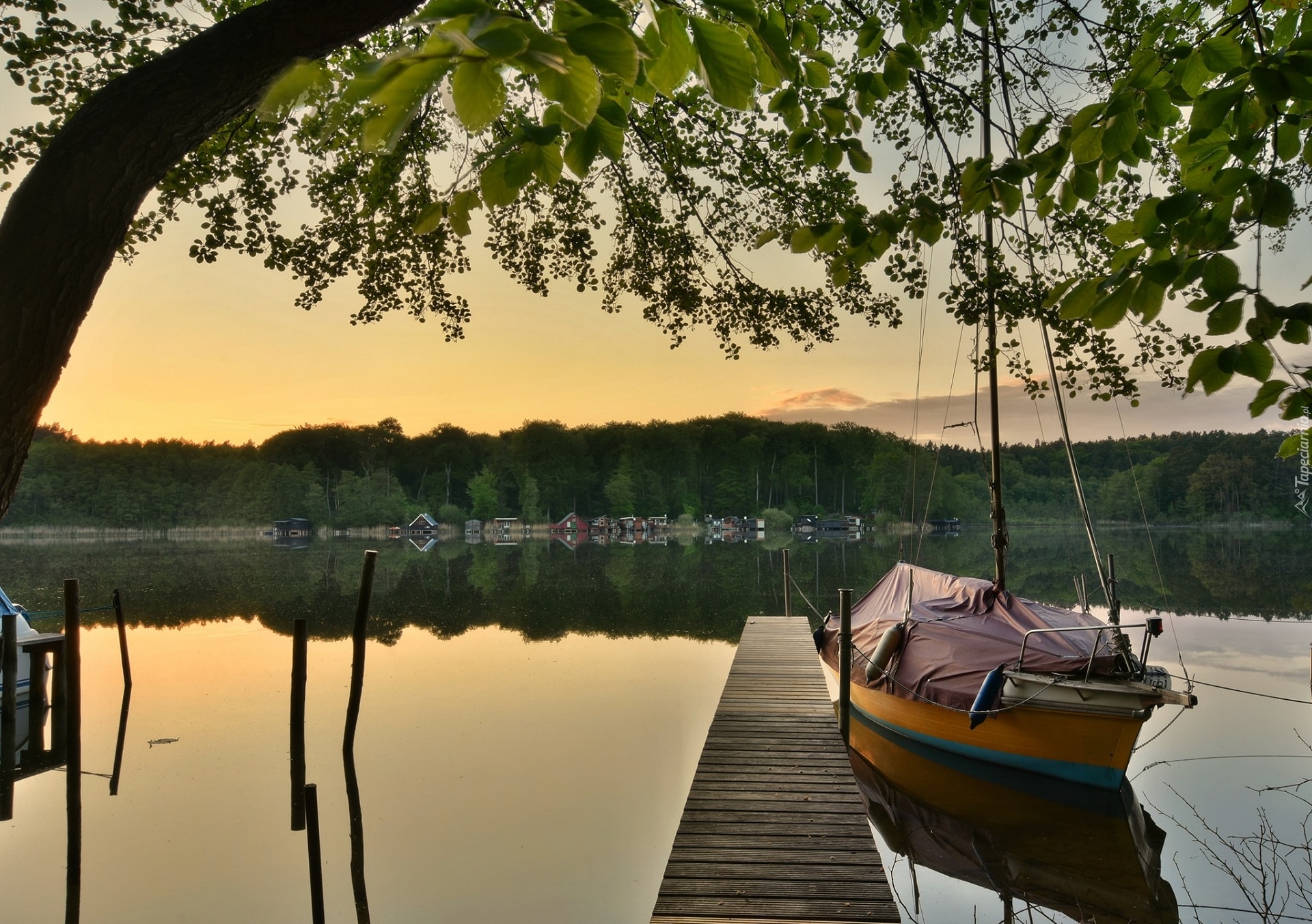 Żaglówka, Jezioro, Pomost, Drzewo