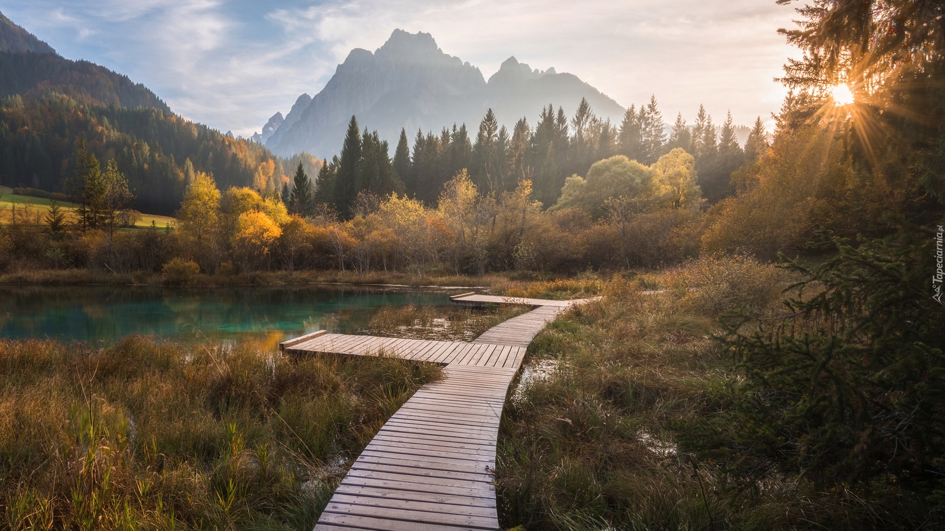 Słowenia, Kranjska Gora, Rezerwat przyrody Zelenci, Jezioro Zelenci, Góry, Lasy, Drewniany, Pomost